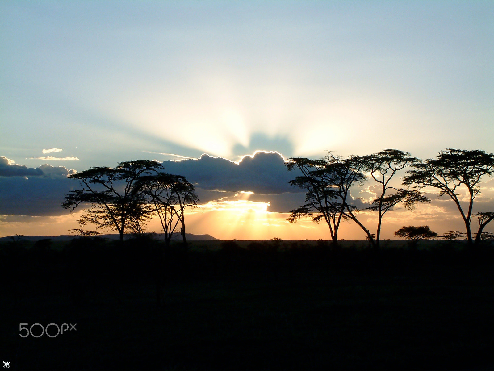 Fujifilm FinePix6900ZOOM sample photo. Sunset in serengueti photography