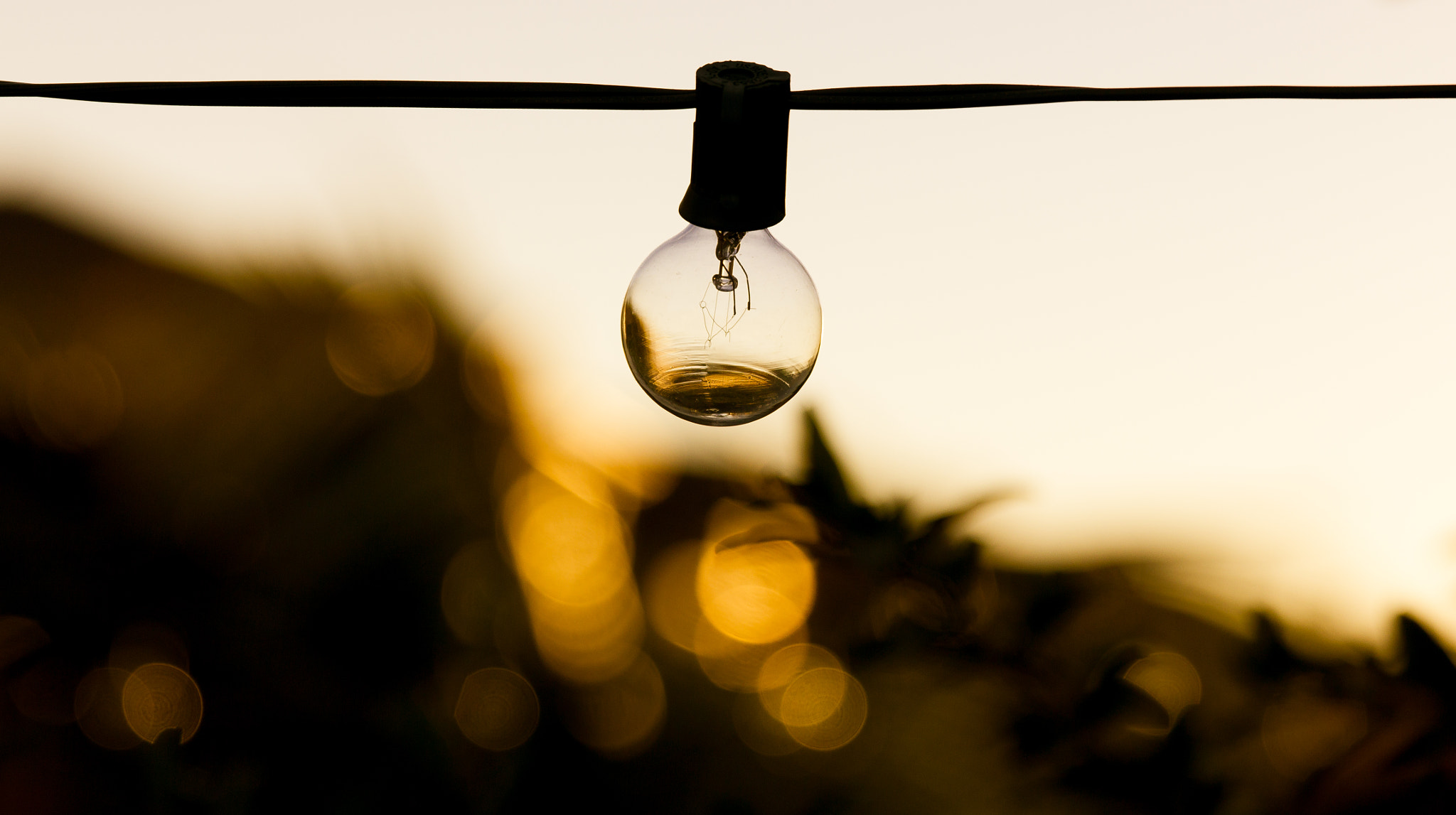 Canon EF 24-70mm F2.8L II USM sample photo. Backyard lighting photography