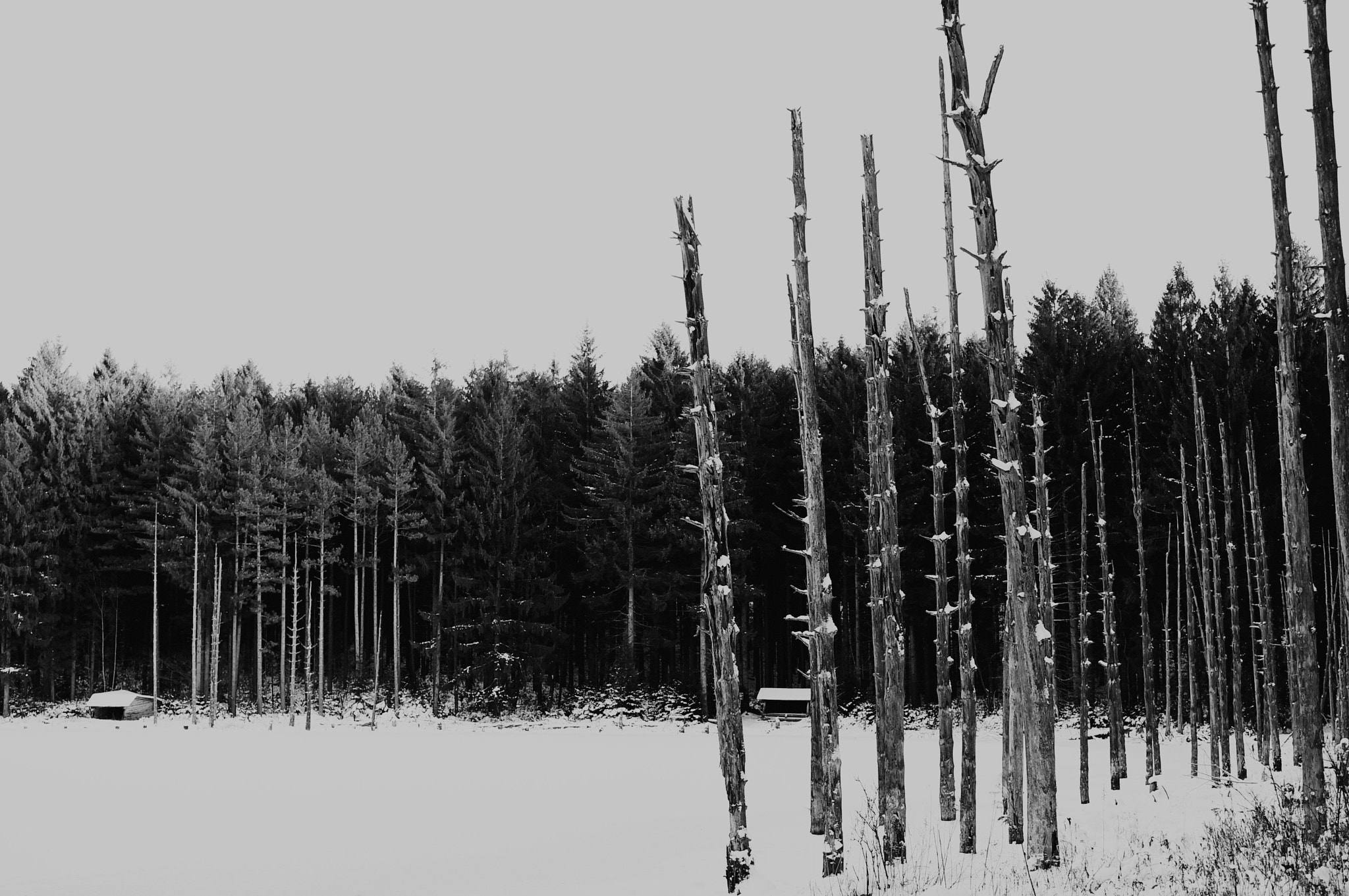 Nikon PC-E Nikkor 45mm F2.8D ED Tilt-Shift sample photo. Winter scenes photography