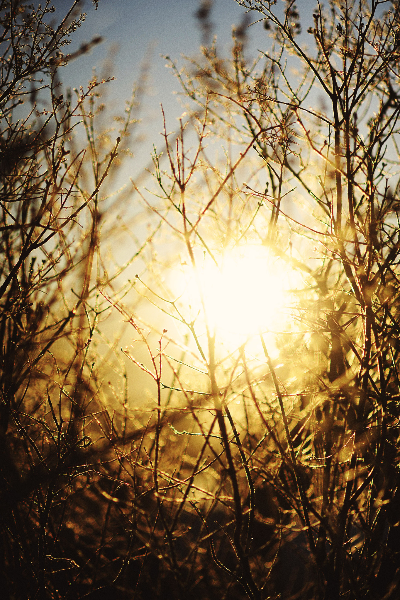 Nikon D3 + AF DC-Nikkor 135mm f/2D sample photo. Winter scenes photography