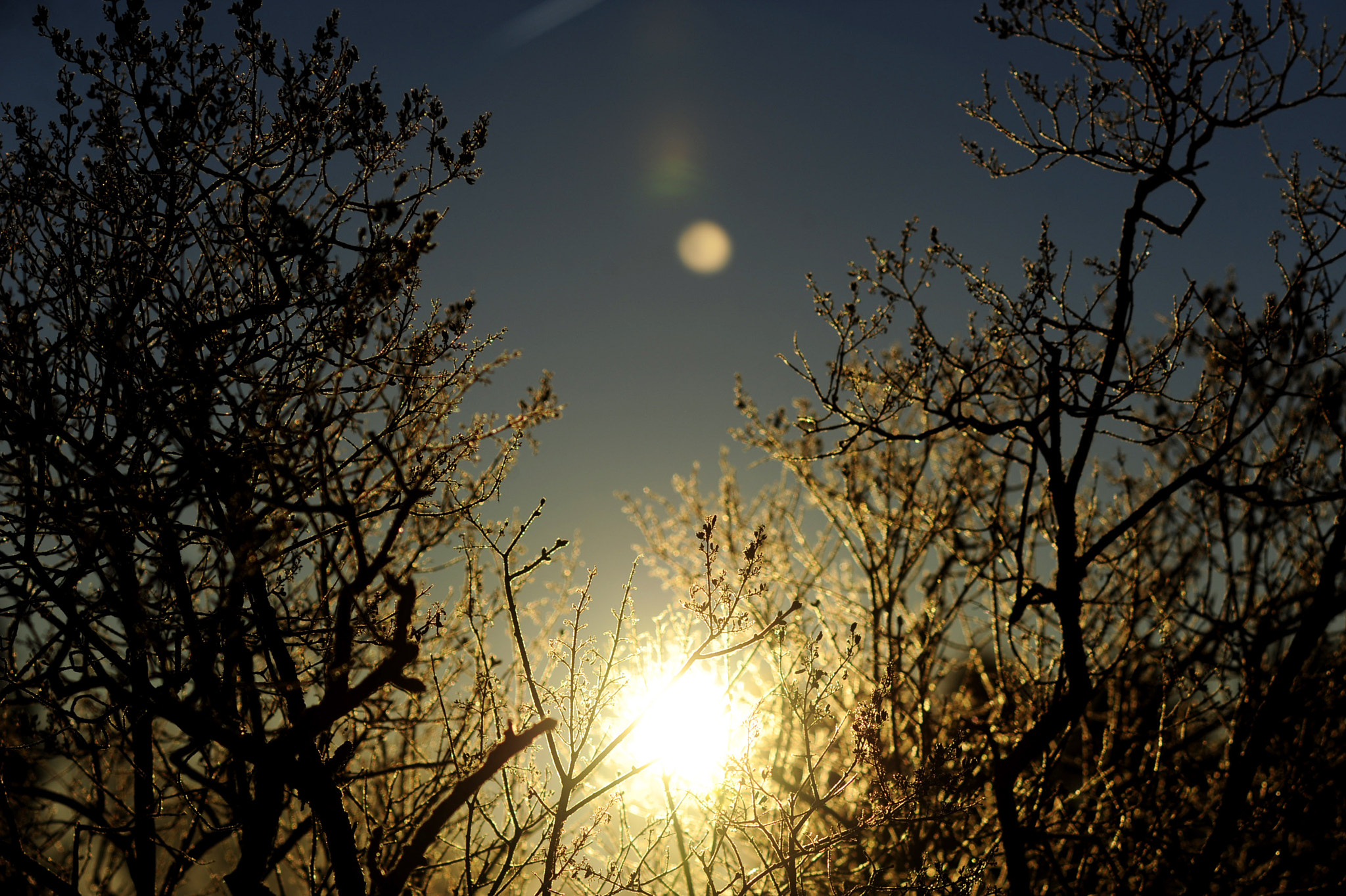 Nikon D3 + AF DC-Nikkor 135mm f/2D sample photo. Winter scenes photography