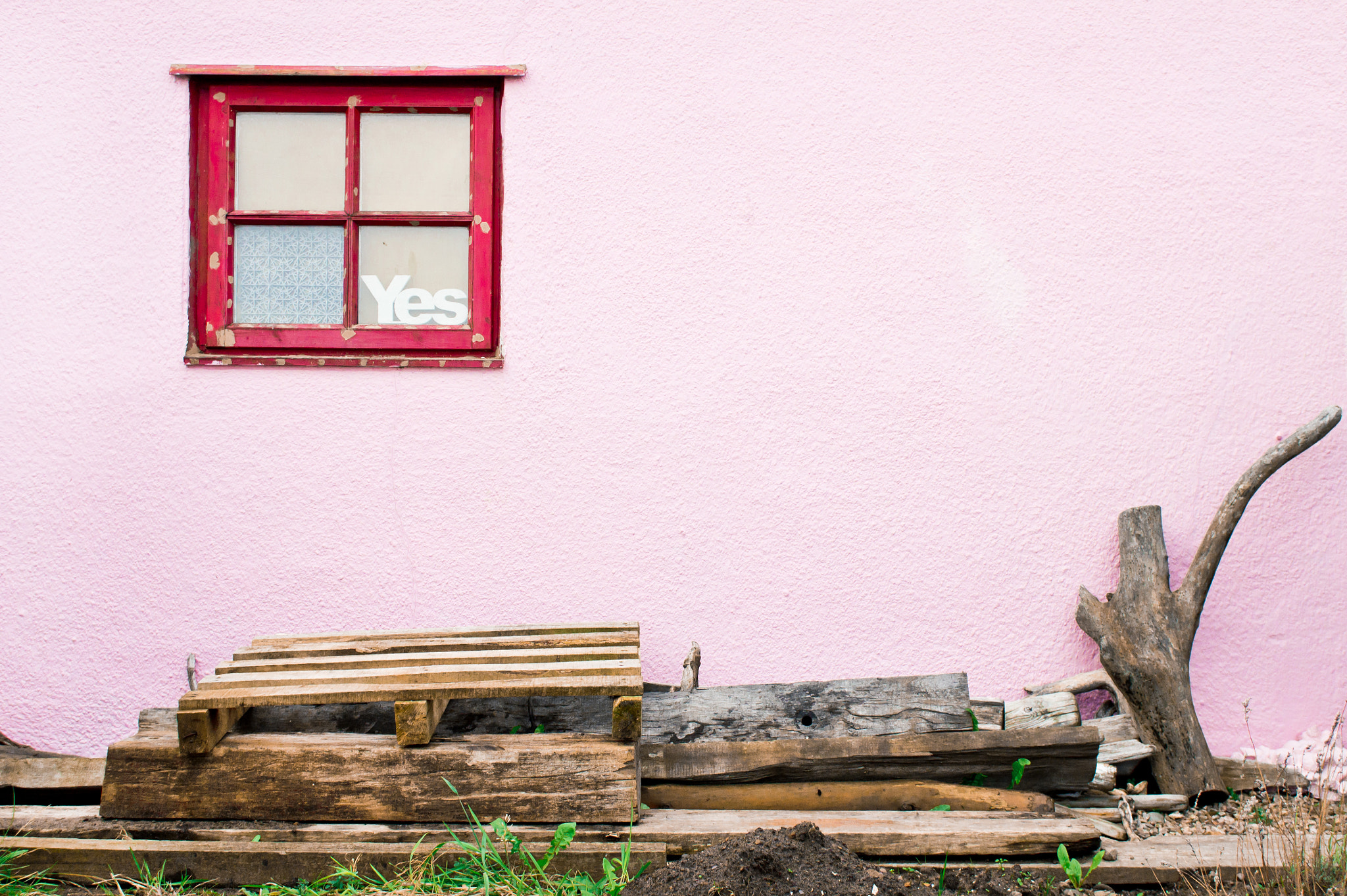 Sony Alpha NEX-5 + Sony E 30mm F3.5 Macro sample photo. Pink wall photography