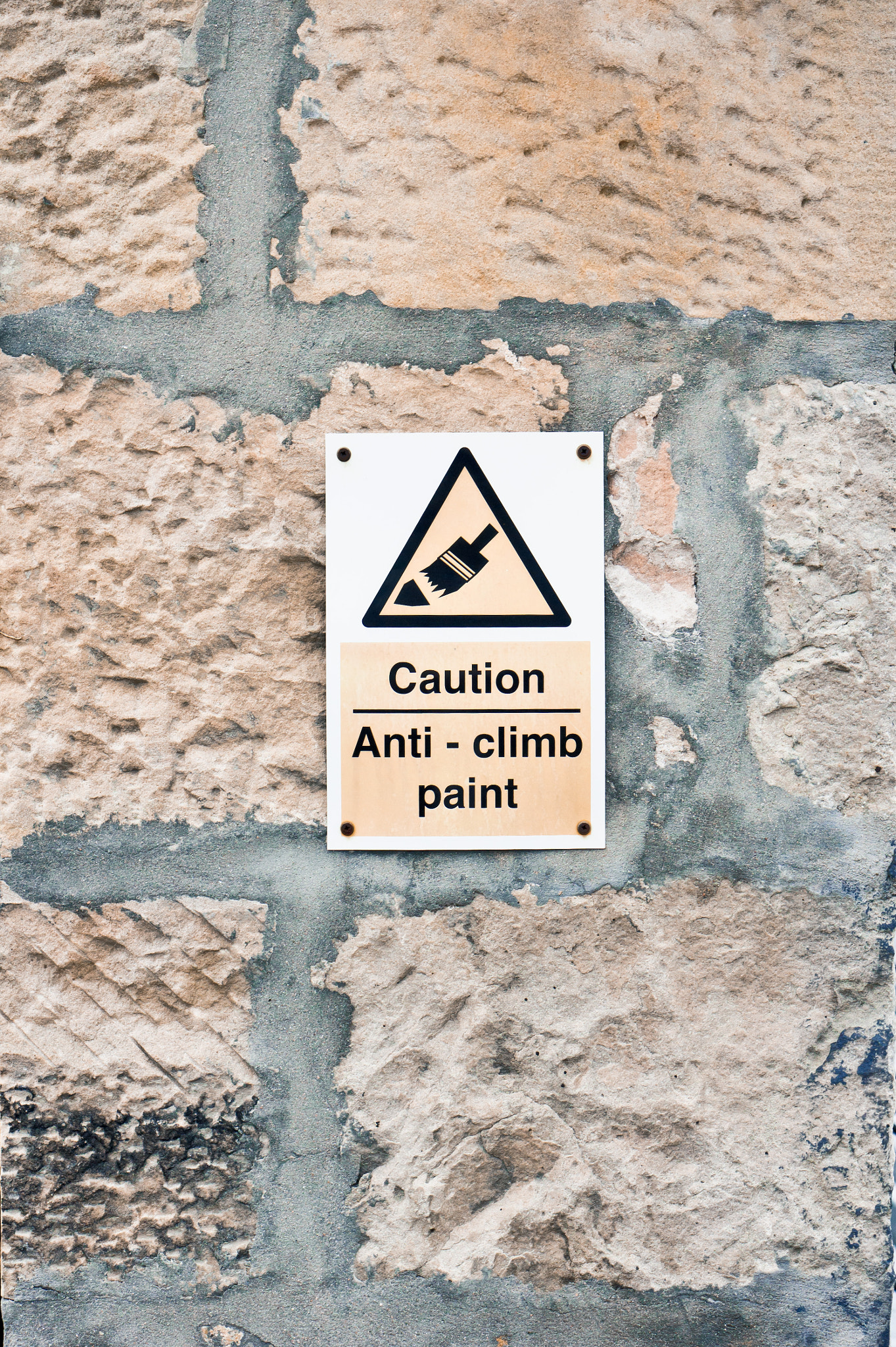 Sony Alpha NEX-5 + E 50mm F1.8 OSS sample photo. Anti-climb paint photography