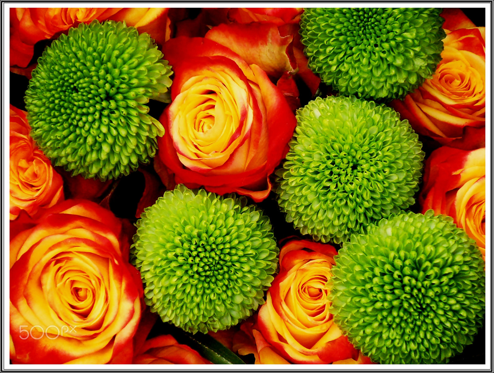 Olympus VR325,VR320,D725 sample photo. Hugs photography