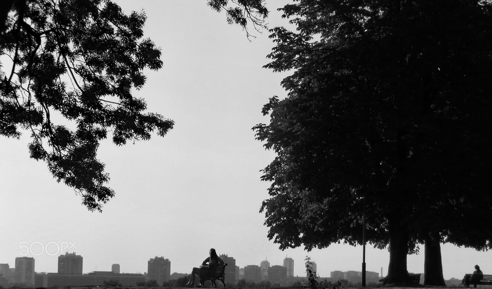 Olympus VR360,D760 sample photo. City nature photography