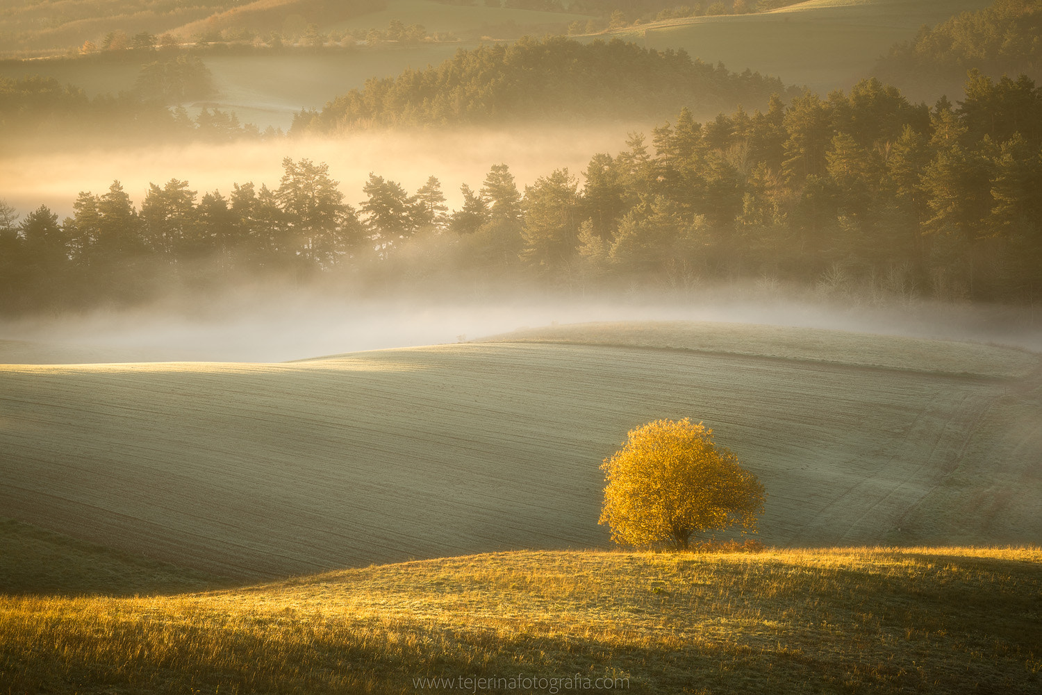 Sony 70-300mm F4.5-5.6 G SSM sample photo. Amanece photography