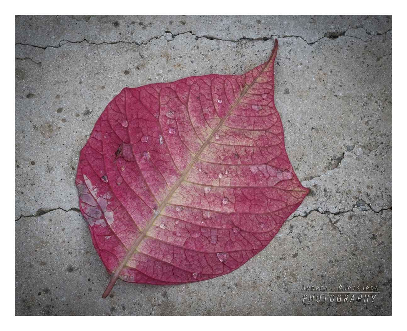 Sigma 24mm F1.8 EX DG Aspherical Macro sample photo. I segni del tempo photography