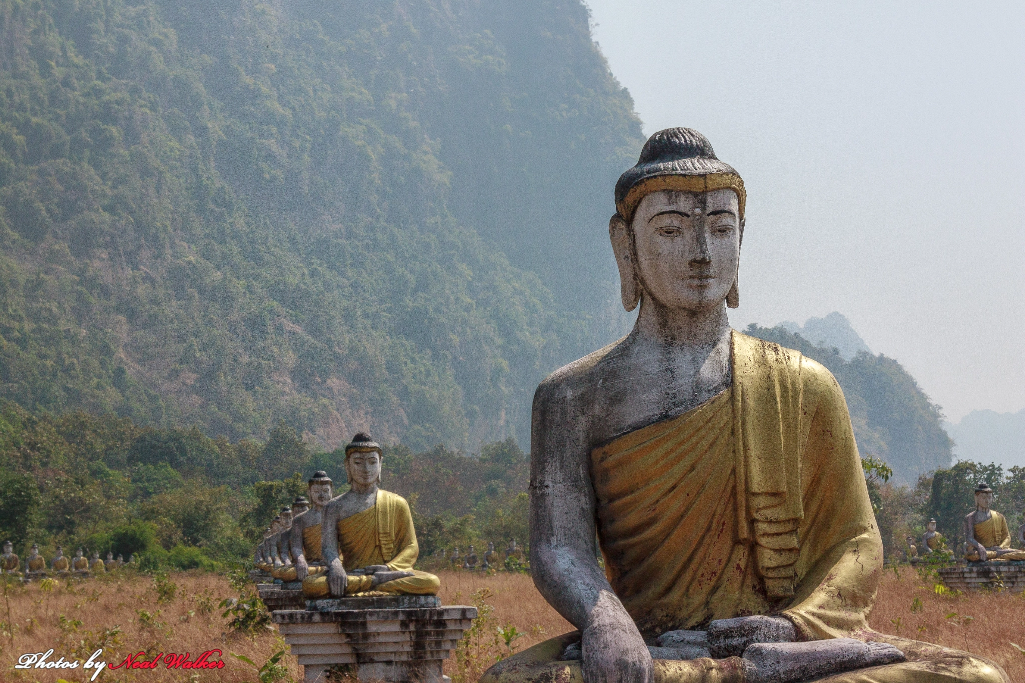 Canon EF-S 17-85mm F4-5.6 IS USM sample photo. Lumbini garden photography