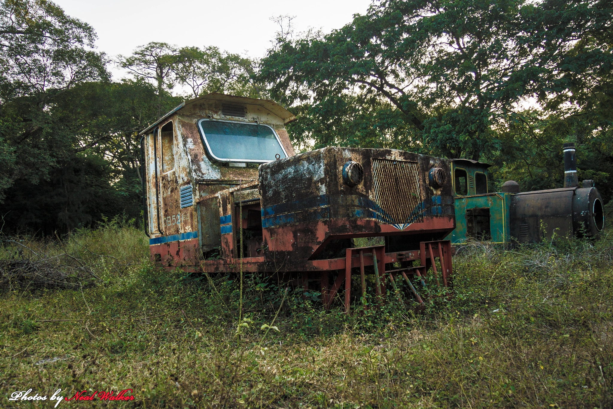 Canon EF-S 17-85mm F4-5.6 IS USM sample photo. Abandoned train car photography