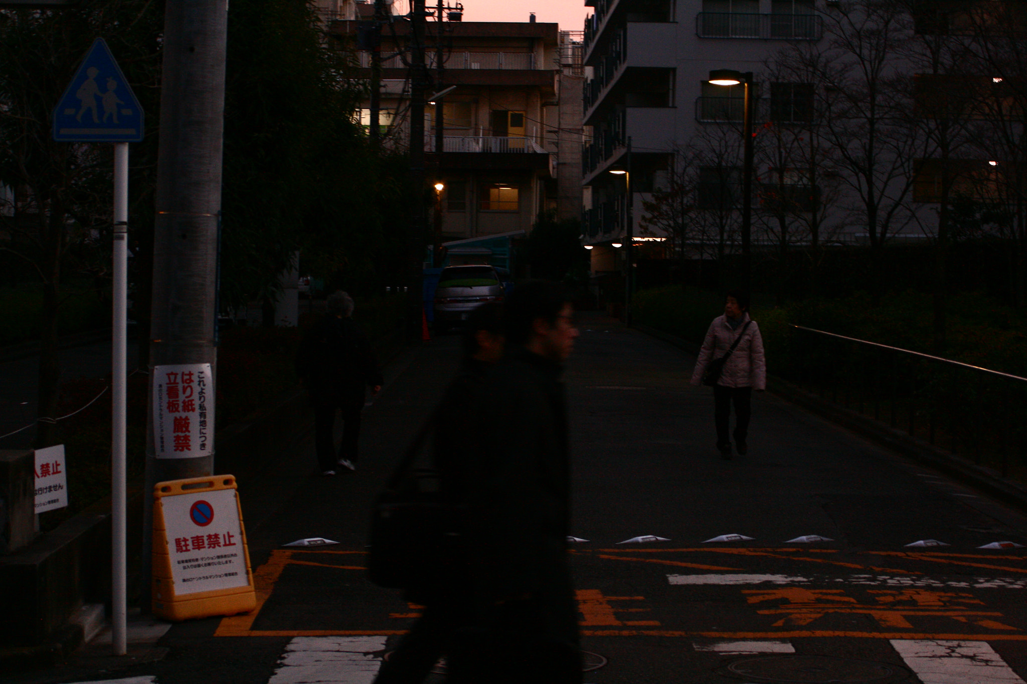 Canon EF 55-200mm F4.5-5.6 II USM sample photo. Passing photography