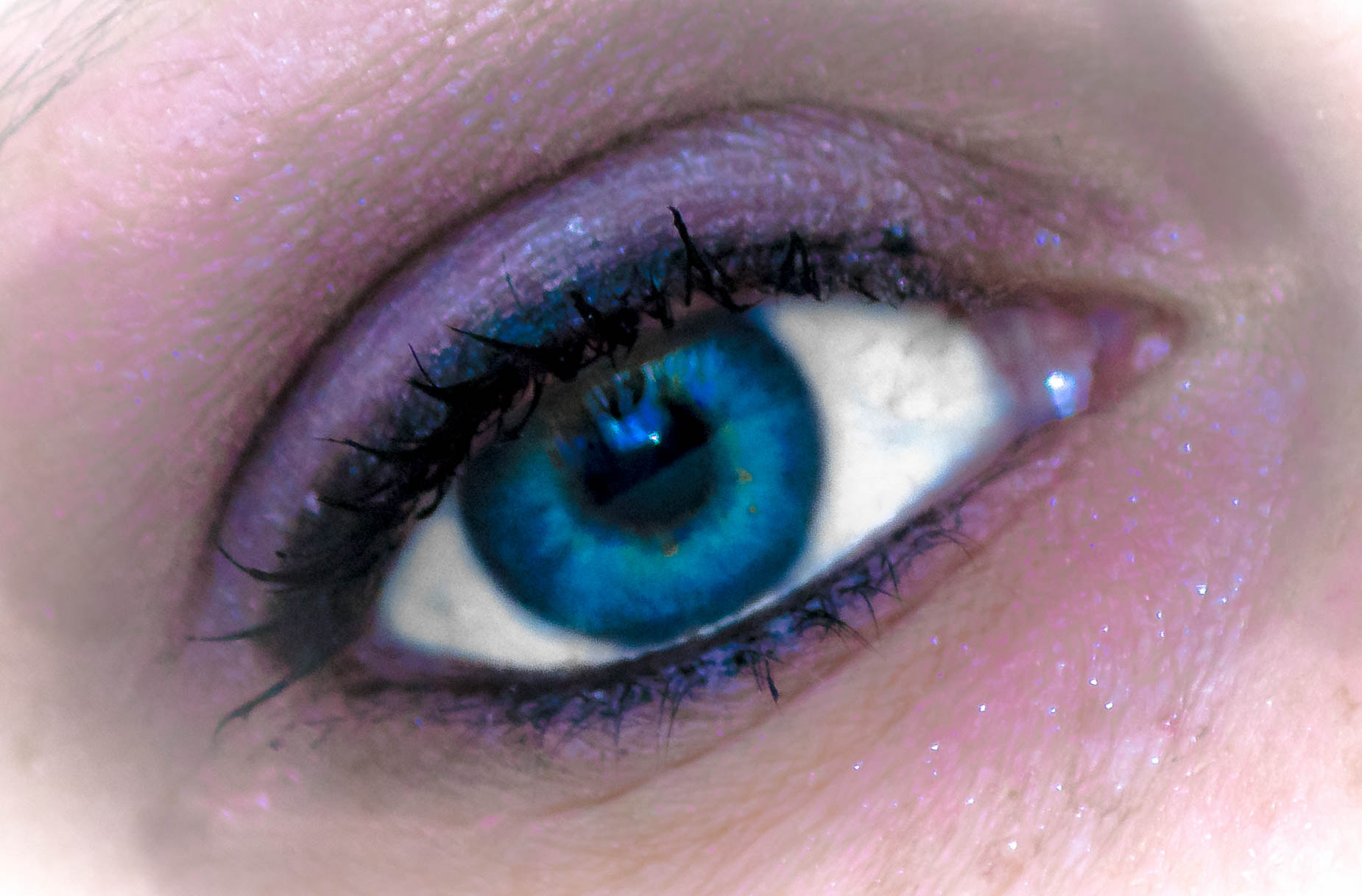 Canon EOS 750D (EOS Rebel T6i / EOS Kiss X8i) sample photo. Here's looking at you photography