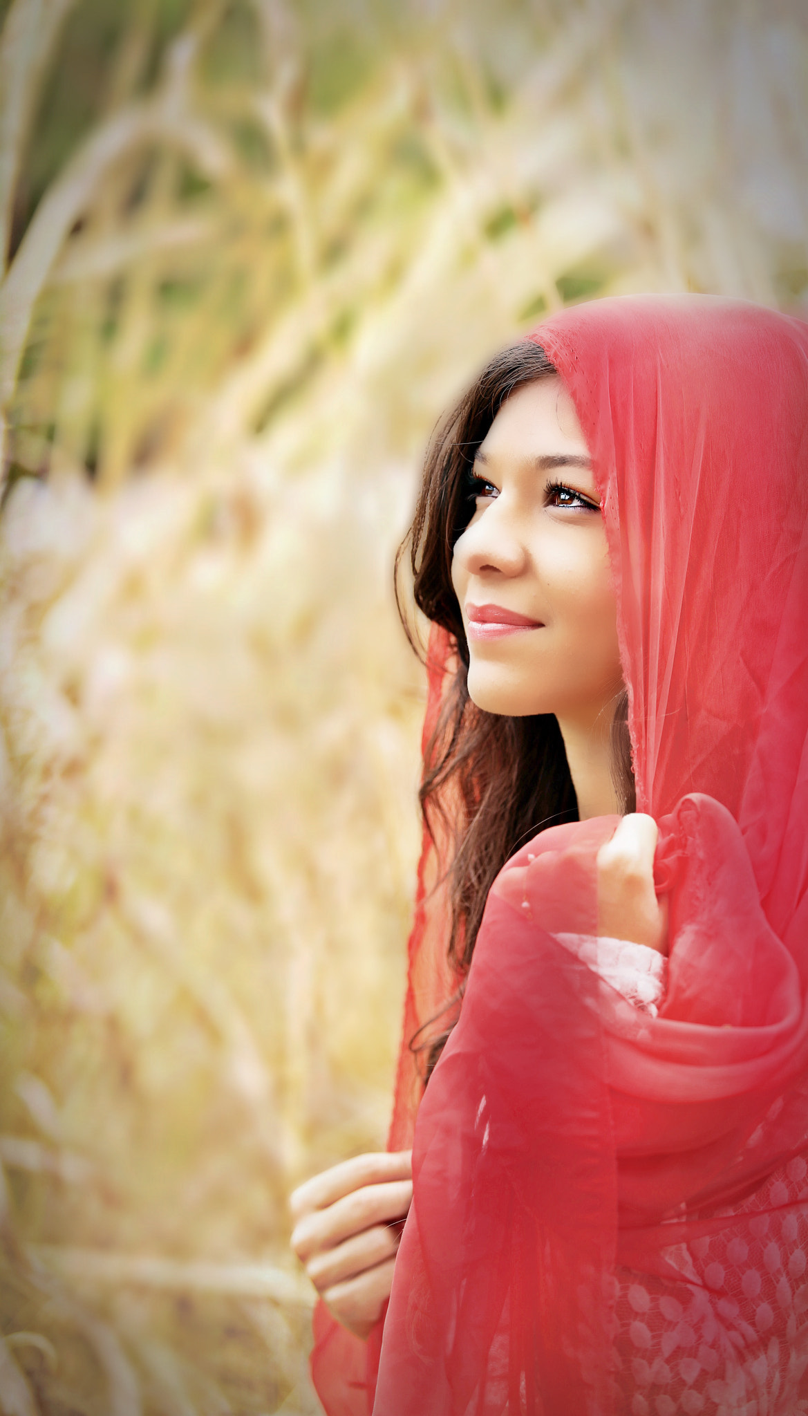 Canon EF 70-200mm F2.8L USM sample photo