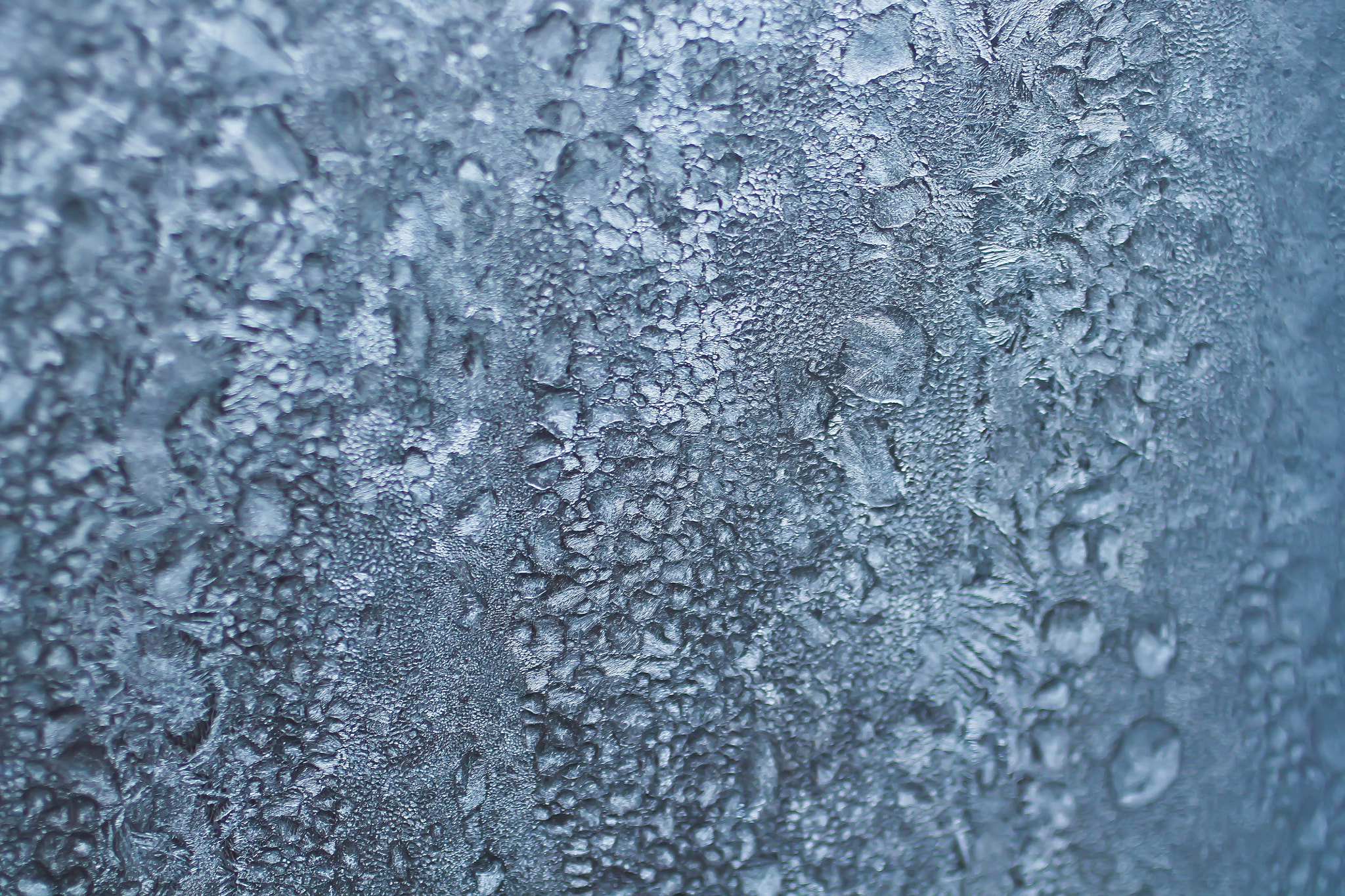 Canon EF 50mm F2.5 Macro sample photo. Ice crystals photography