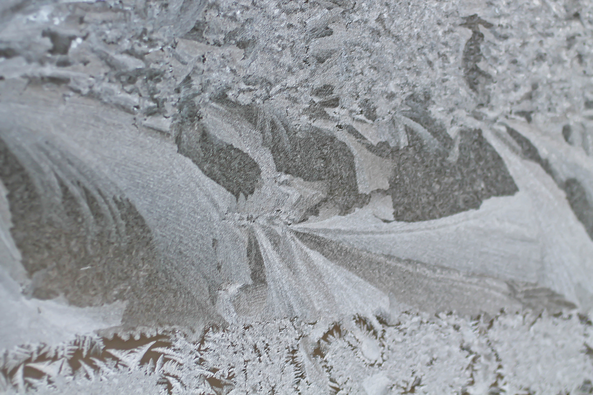 Canon EF 50mm F2.5 Macro sample photo. Ice crystals photography