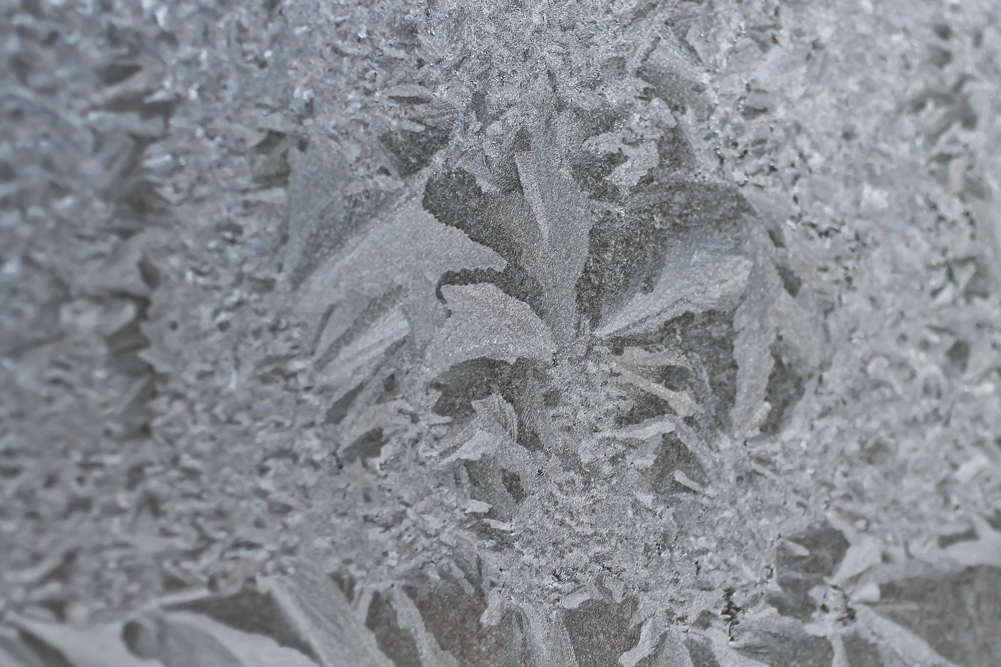 Canon EF 50mm F2.5 Macro sample photo. Ice crystals photography