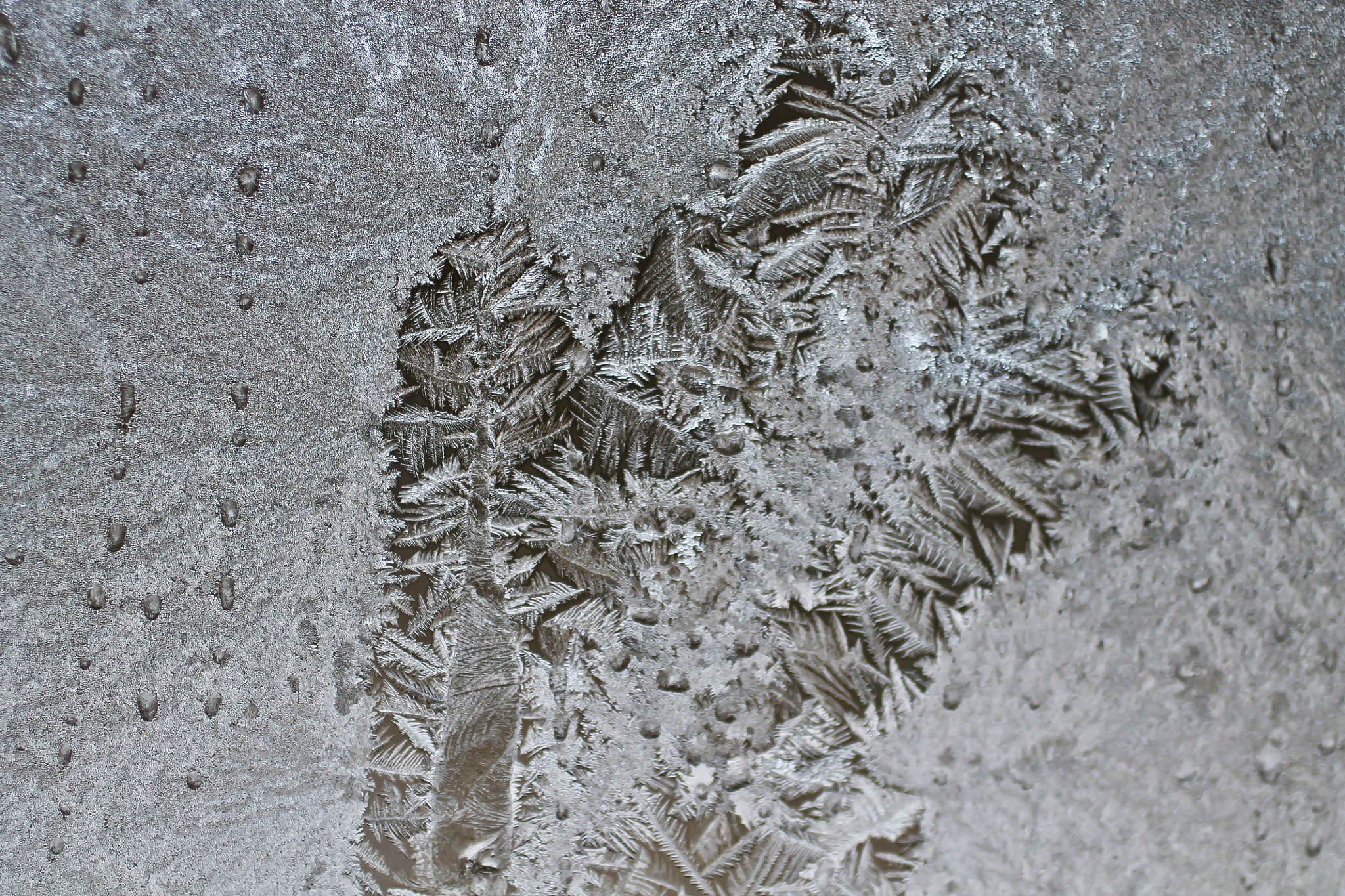 Canon EF 50mm F2.5 Macro sample photo. Ice crystal photography