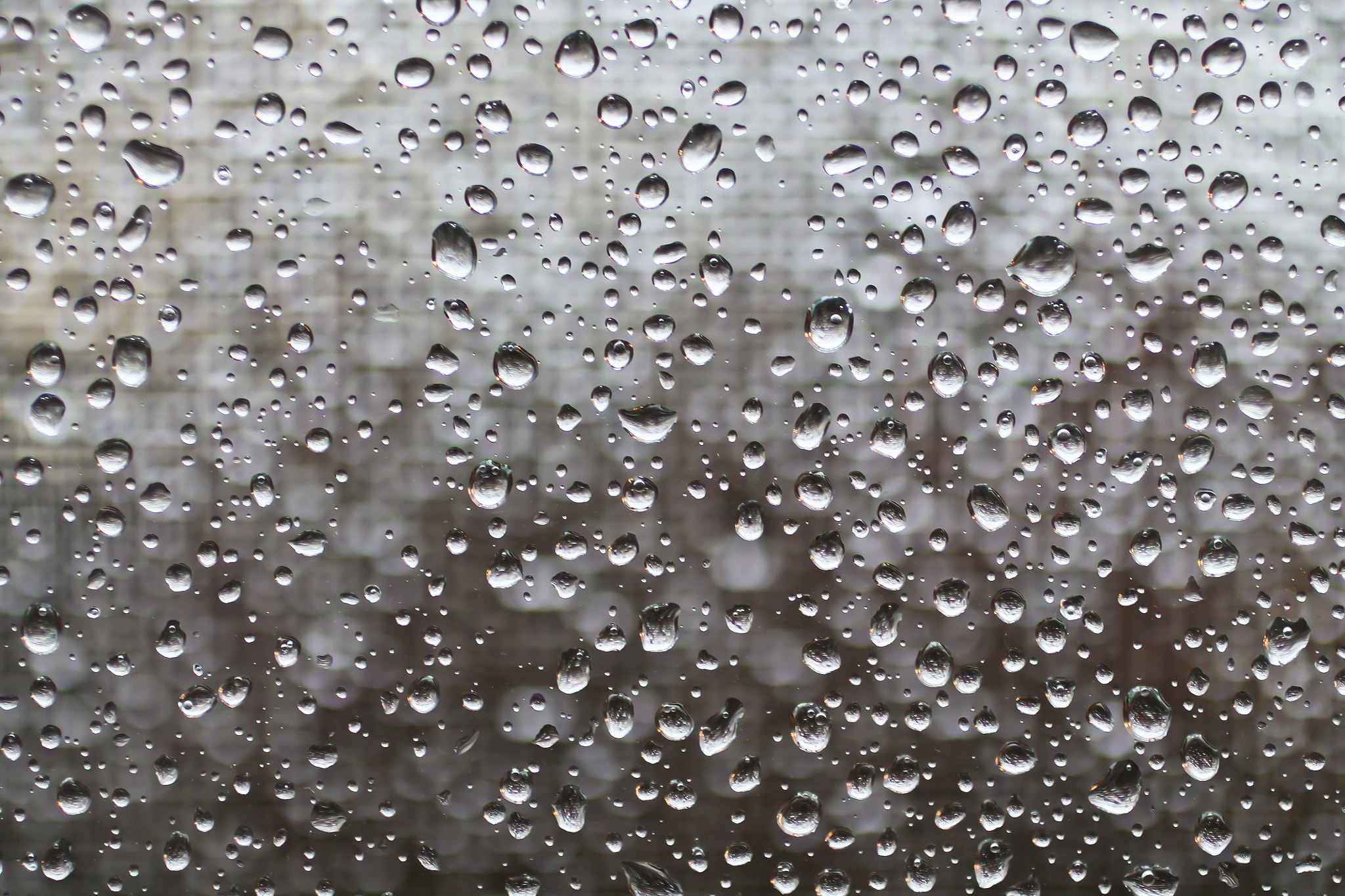 Canon EF 50mm F2.5 Macro sample photo. Raindrops photography