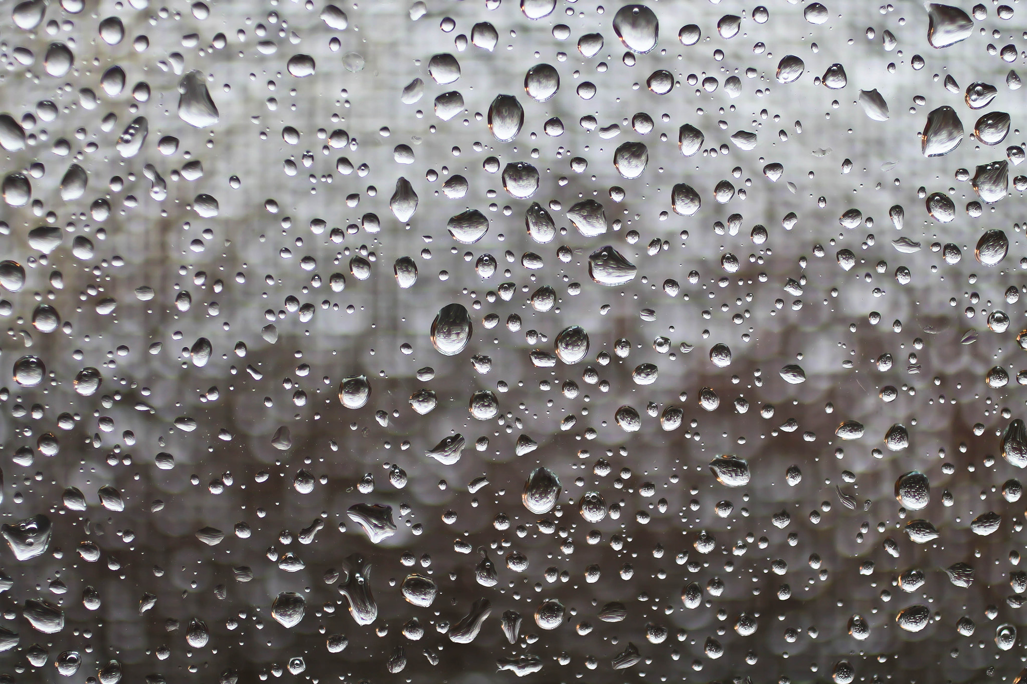 Canon EF 50mm F2.5 Macro sample photo. Raindrops photography