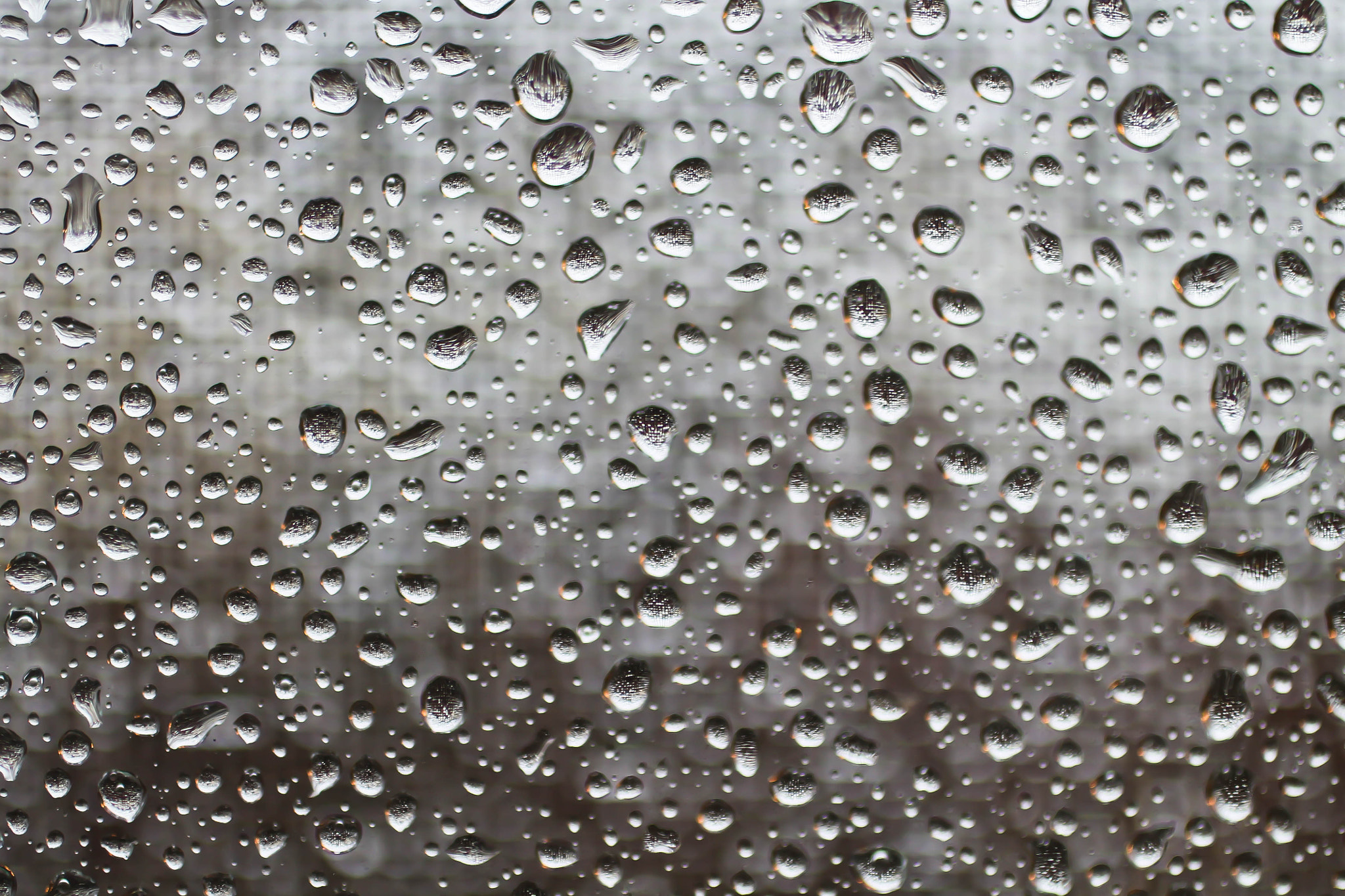 Canon EF 50mm F2.5 Macro sample photo. Raindrops photography