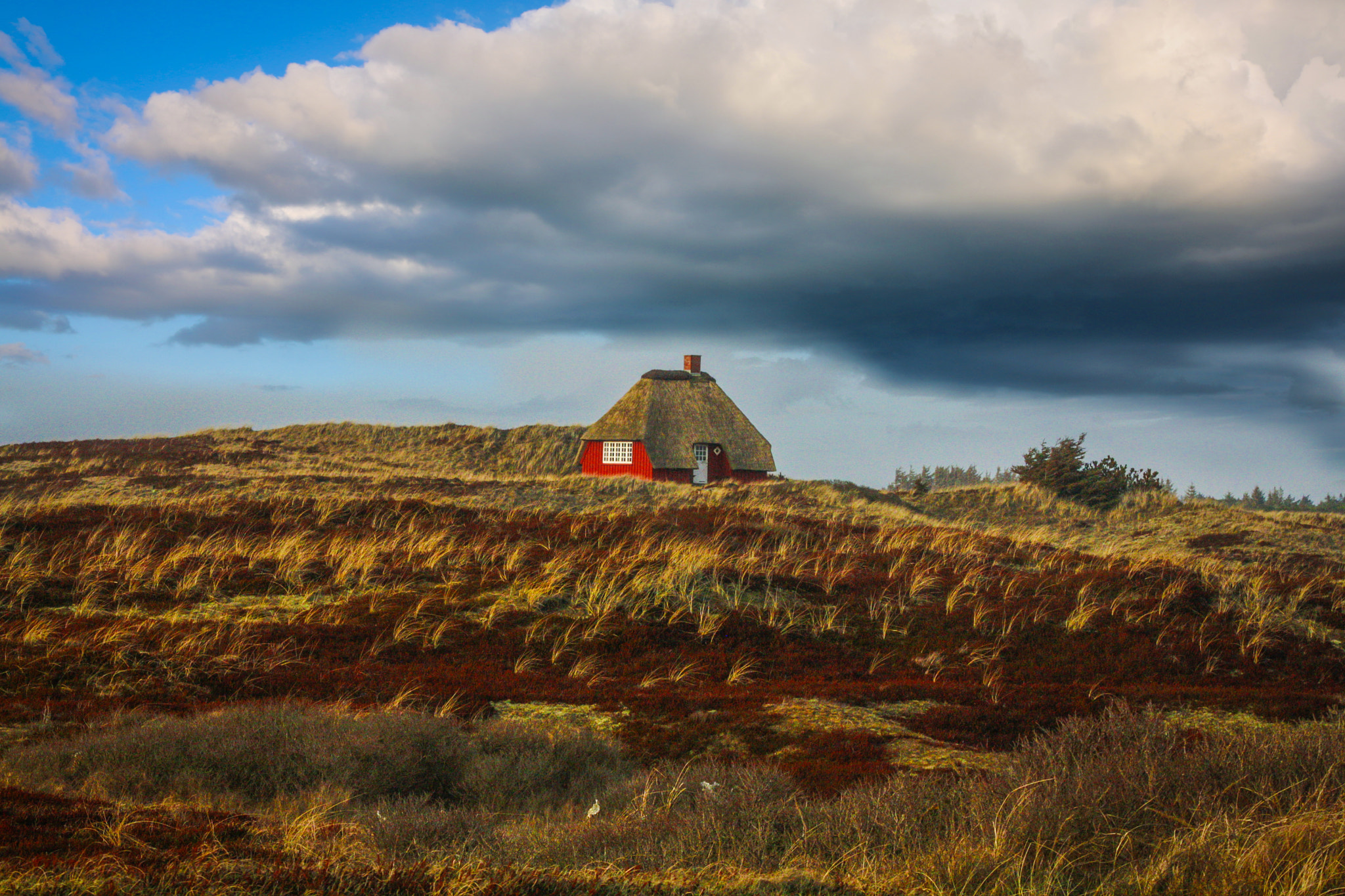 Canon EF 70-300mm F4-5.6 IS USM sample photo. House one the west coast photography
