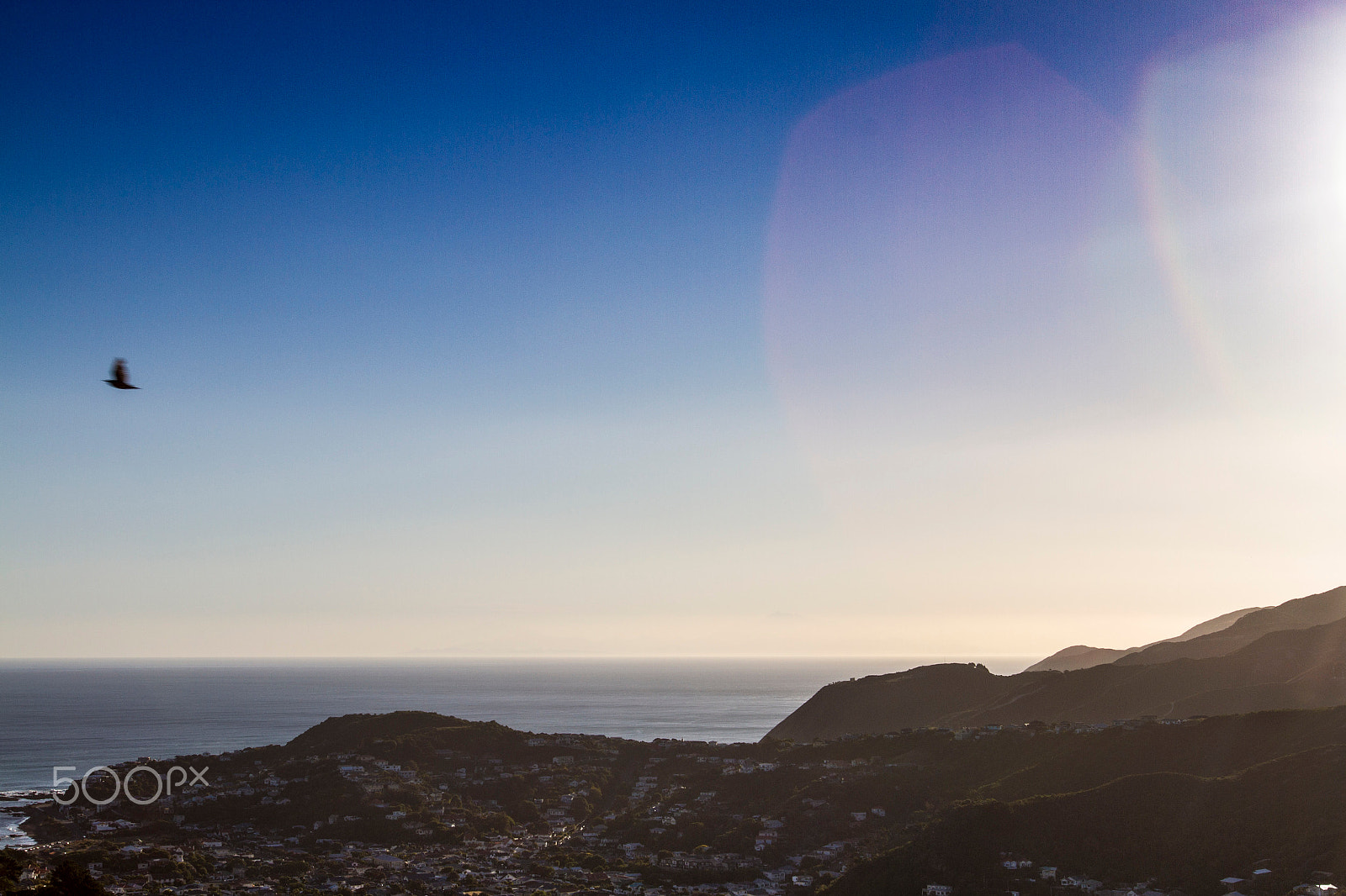 Canon EF 16-35mm F2.8L USM sample photo. Gliding at sunset photography