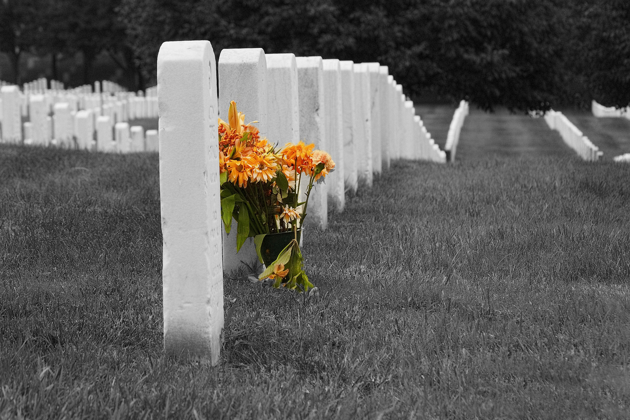 Olympus PEN E-P5 sample photo. Arlington cimetery photography