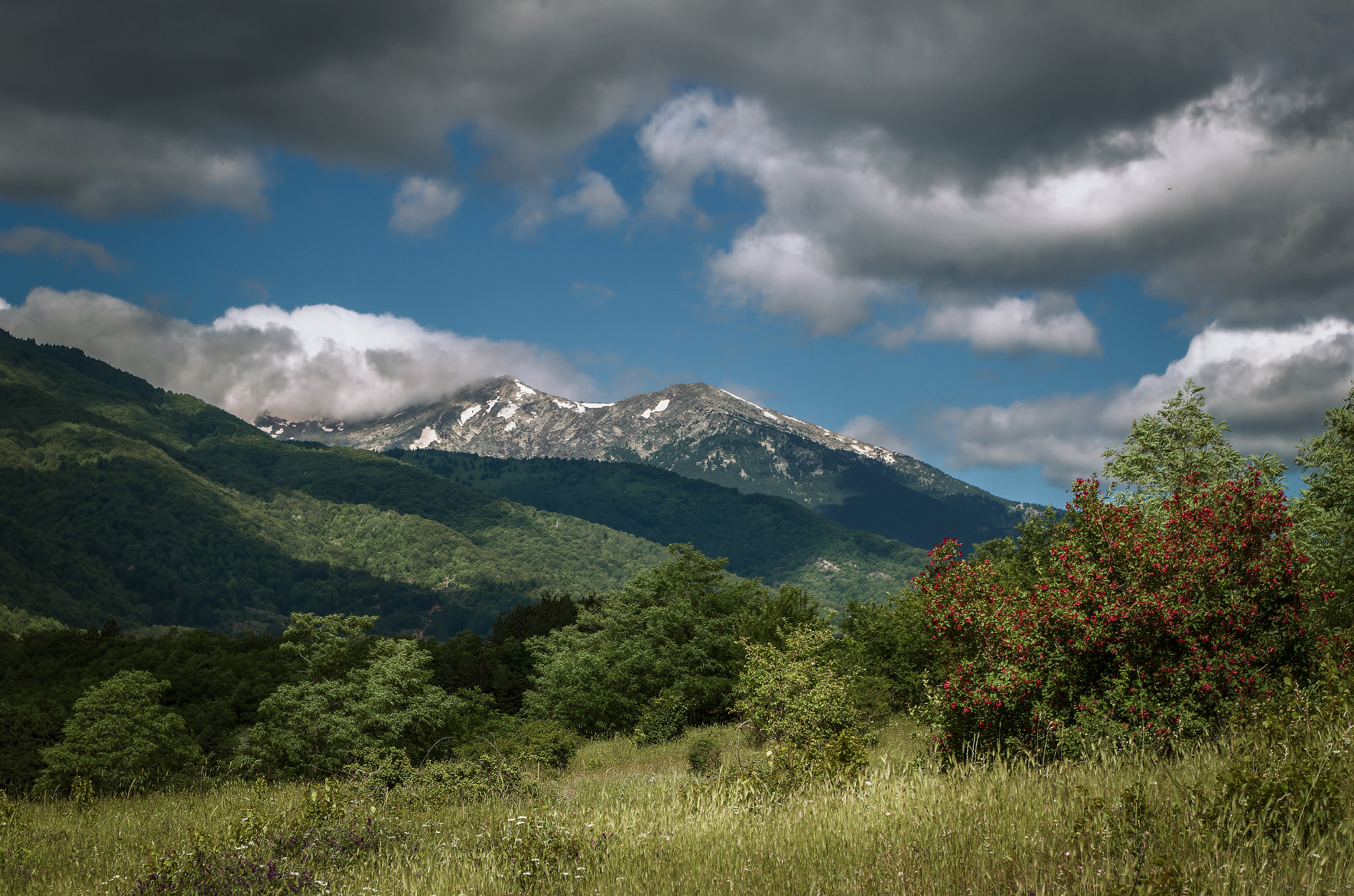 Pentax K-01 sample photo. Pelister photography