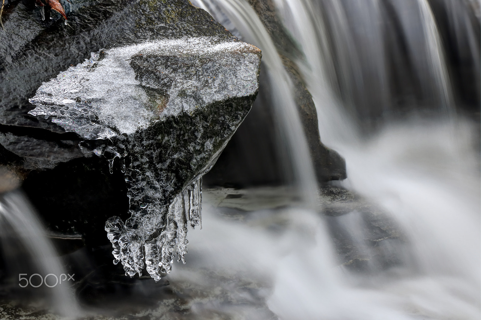 Nikon D3X sample photo. Frozen photography