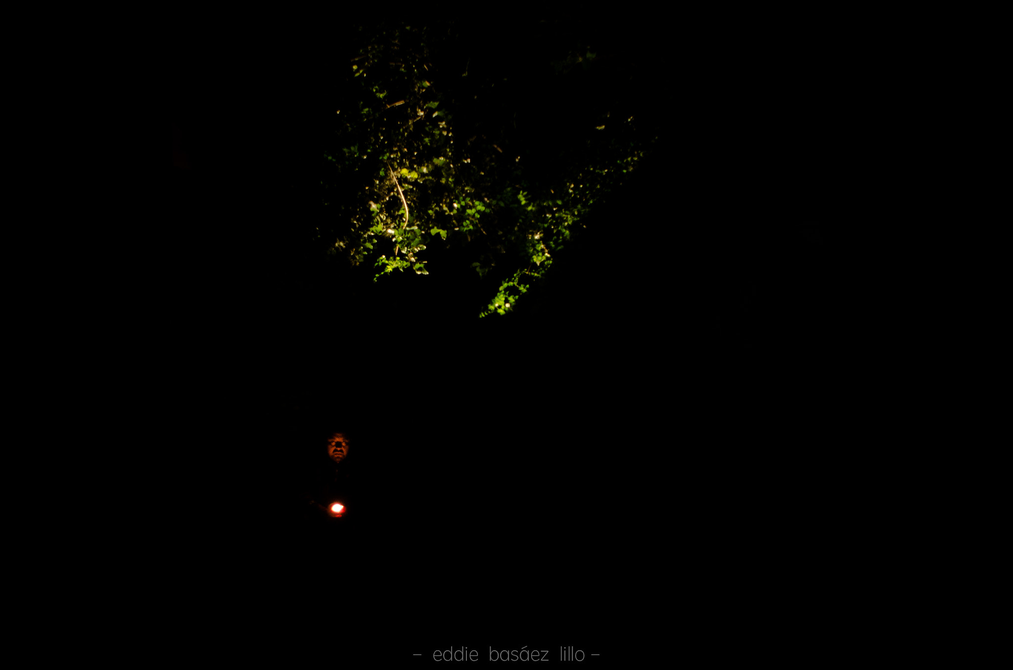 Nikon D7000 + Nikon AF Nikkor 20mm F2.8D sample photo. Solo una pequeña luz hace una foto,esa es la escénica photography