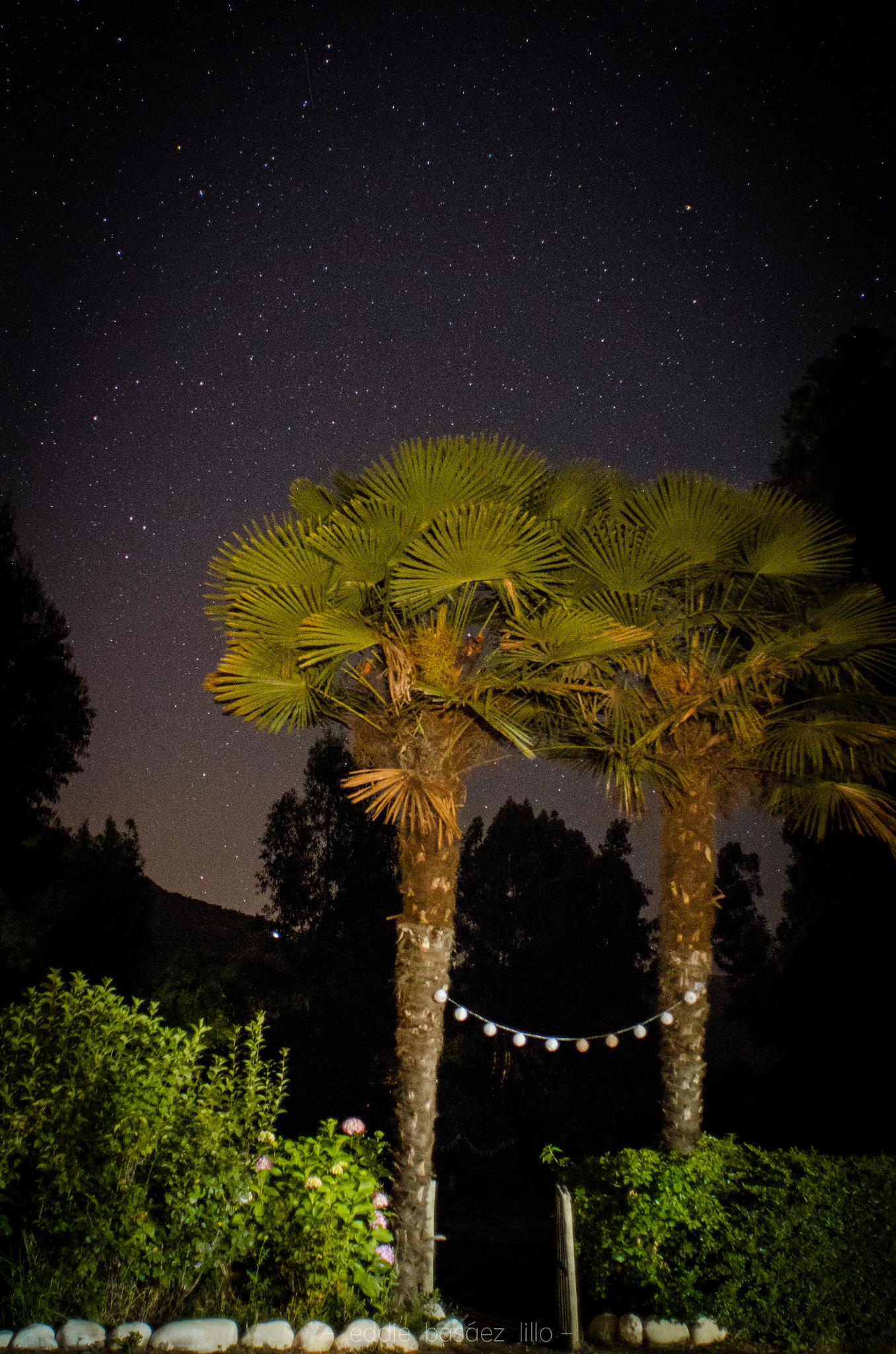 Nikon D7000 + Nikon AF Nikkor 20mm F2.8D sample photo. Algo de luz photography