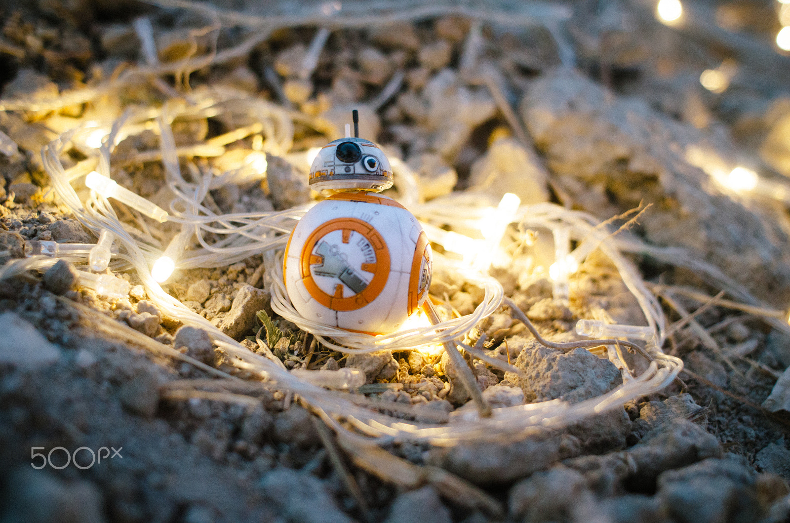 Nikon D7000 + Nikon AF Nikkor 24mm F2.8D sample photo. Bb8 and the light photography
