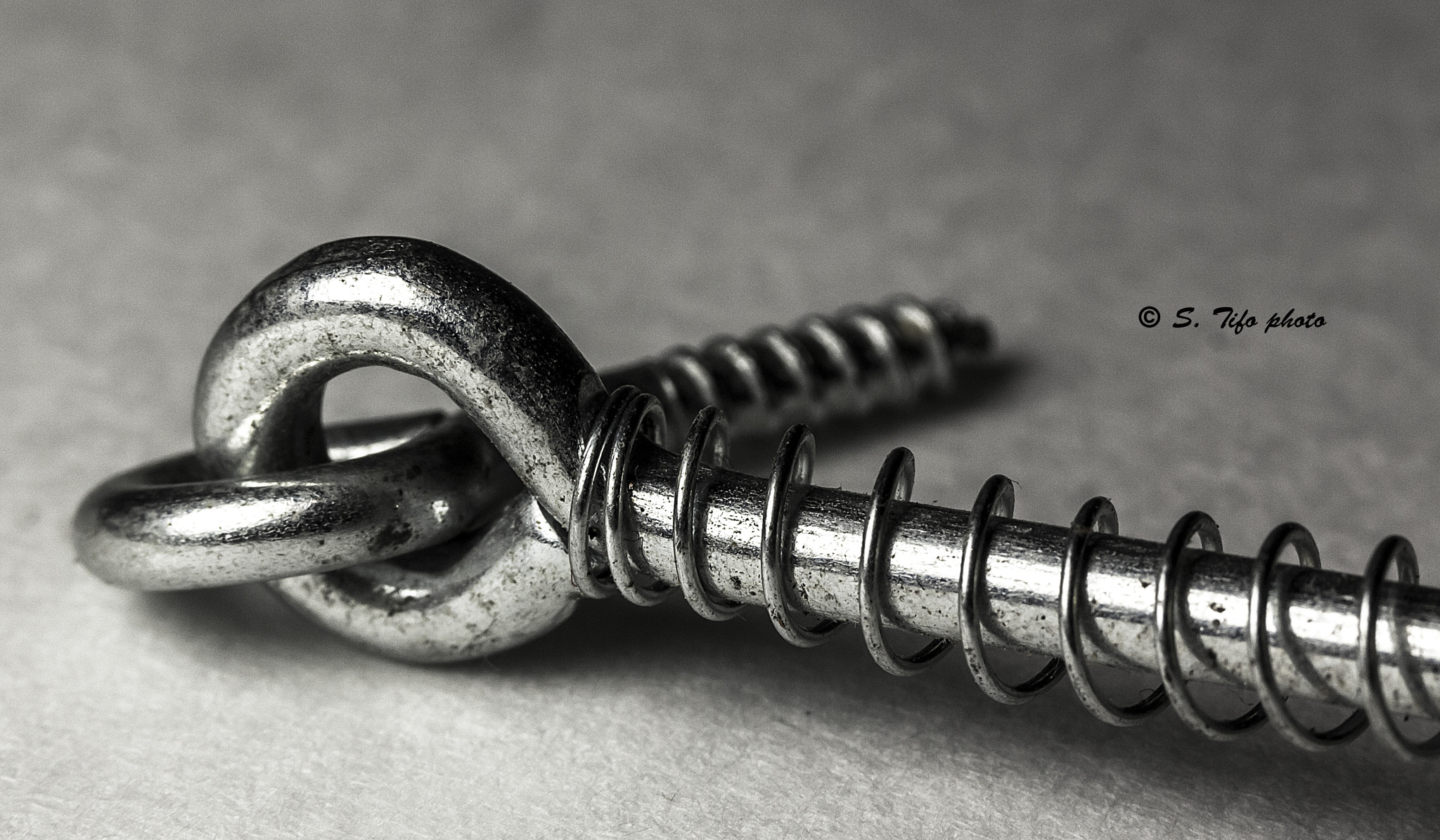 Canon EF-S 60mm F2.8 Macro USM sample photo. Lines and curves ... photography