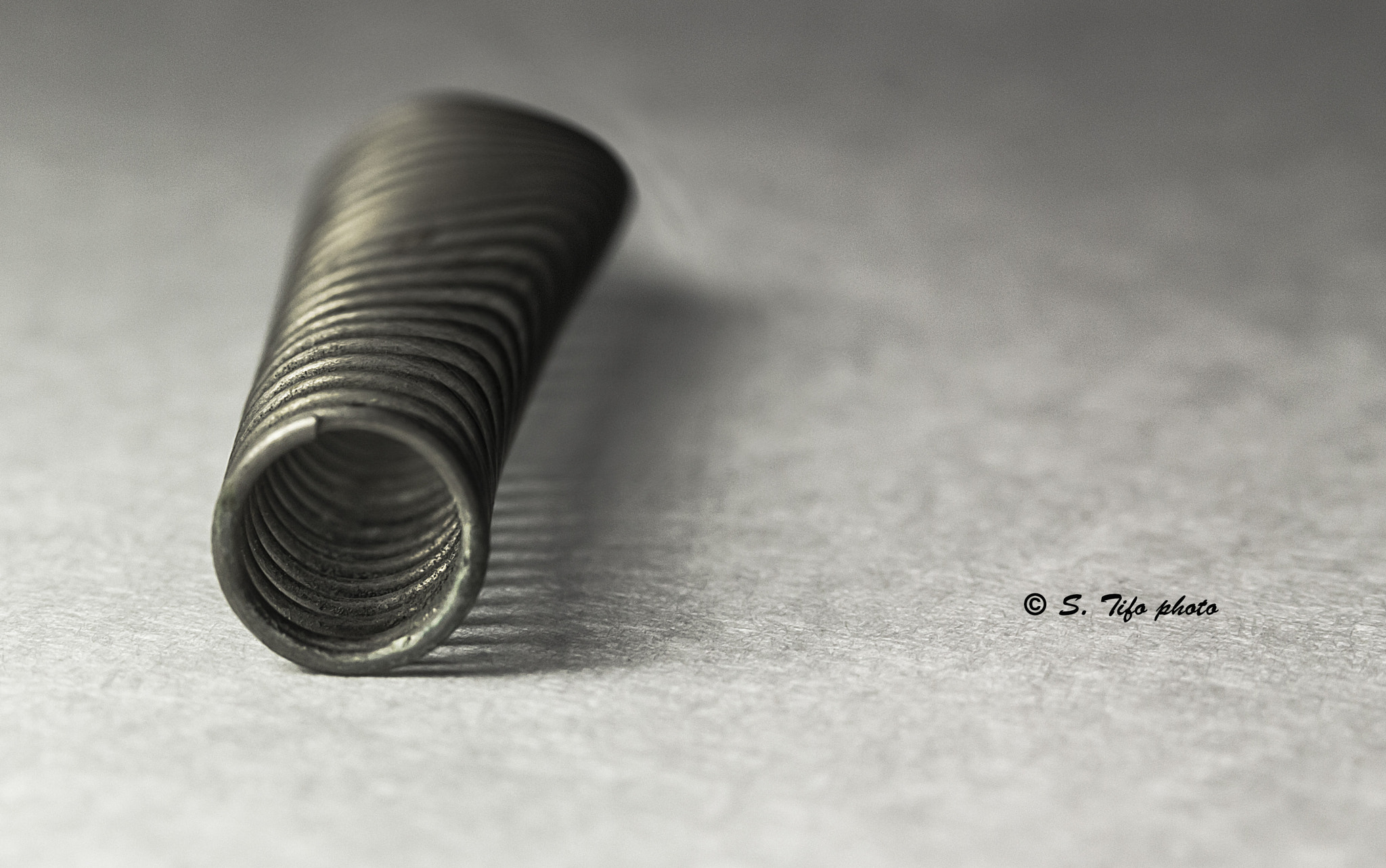 Canon EF-S 60mm F2.8 Macro USM sample photo. Spring ...... photography