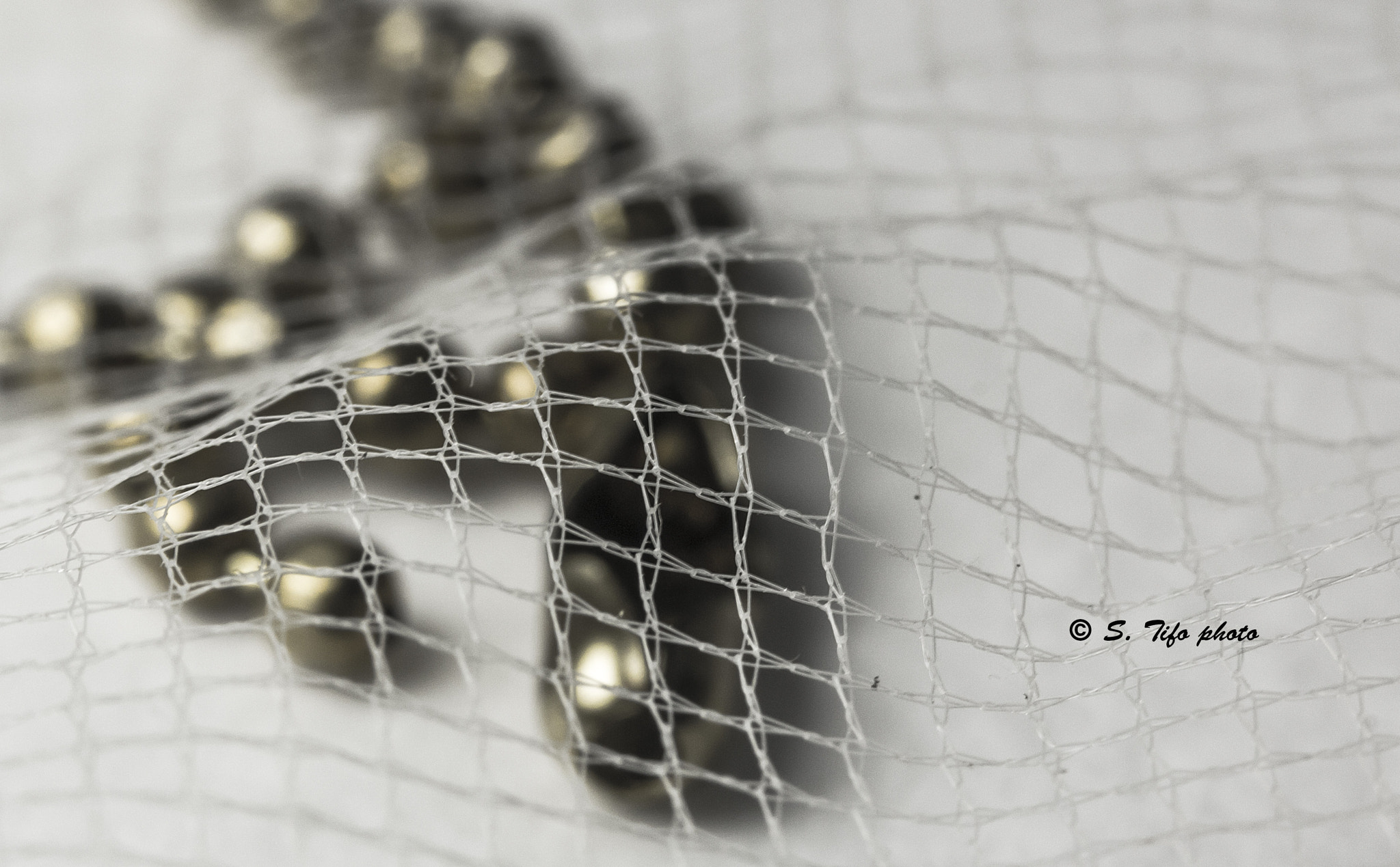 Canon EF-S 60mm F2.8 Macro USM sample photo. Under the net ..... photography