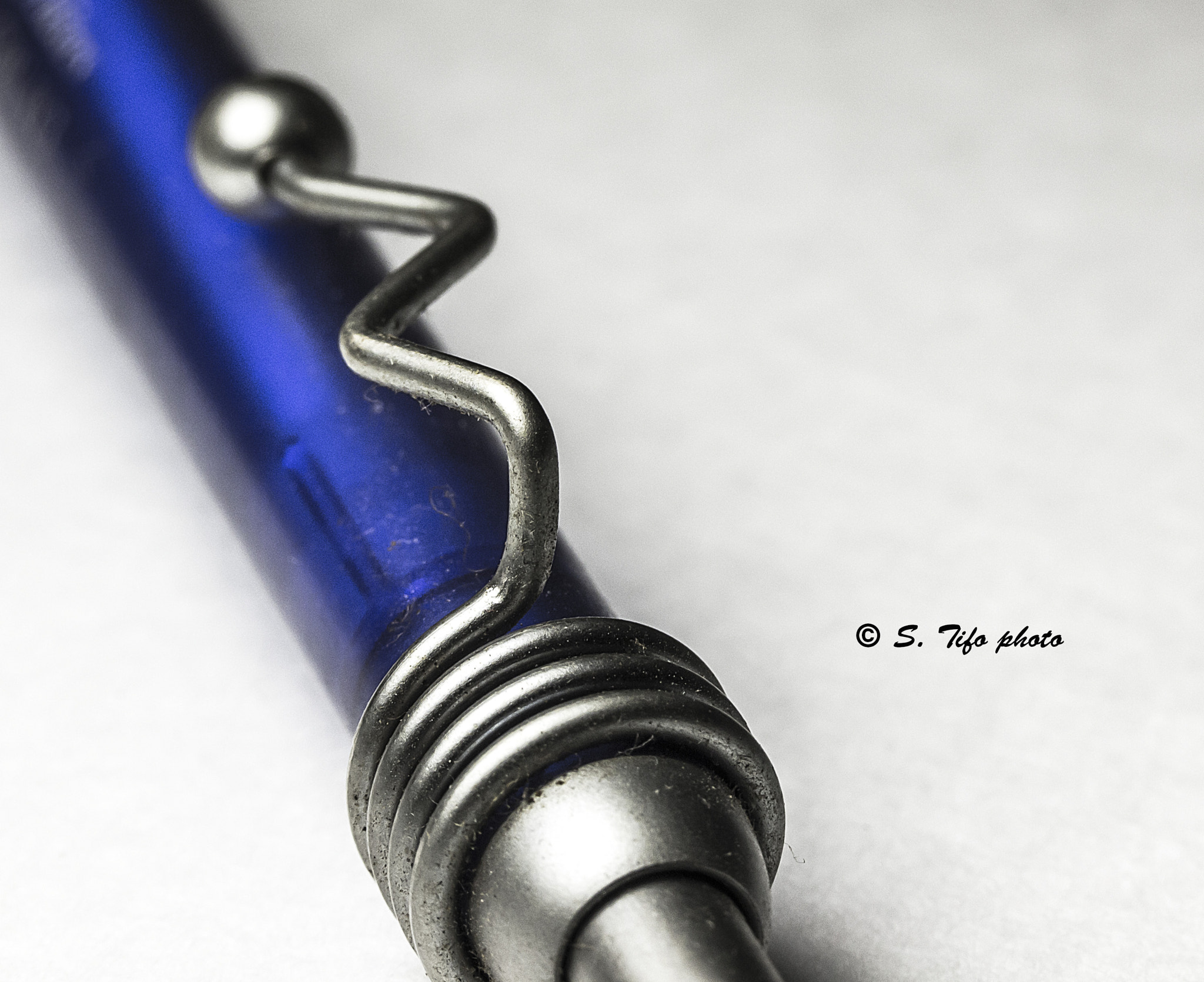 Canon EF-S 60mm F2.8 Macro USM sample photo. Sinueux .... photography