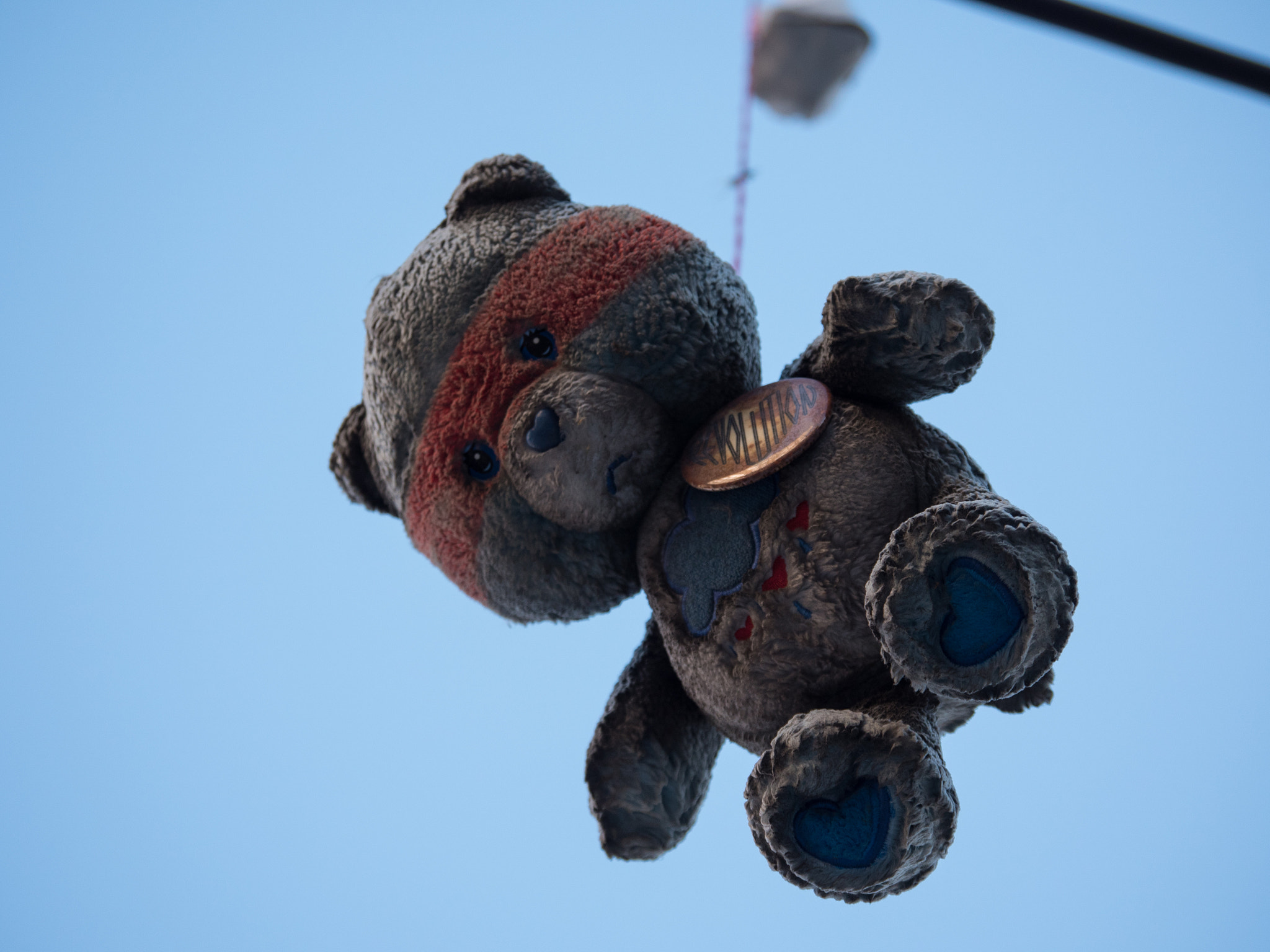 Panasonic Lumix DMC-GH4 sample photo. Hearts revolution bear on wire photography