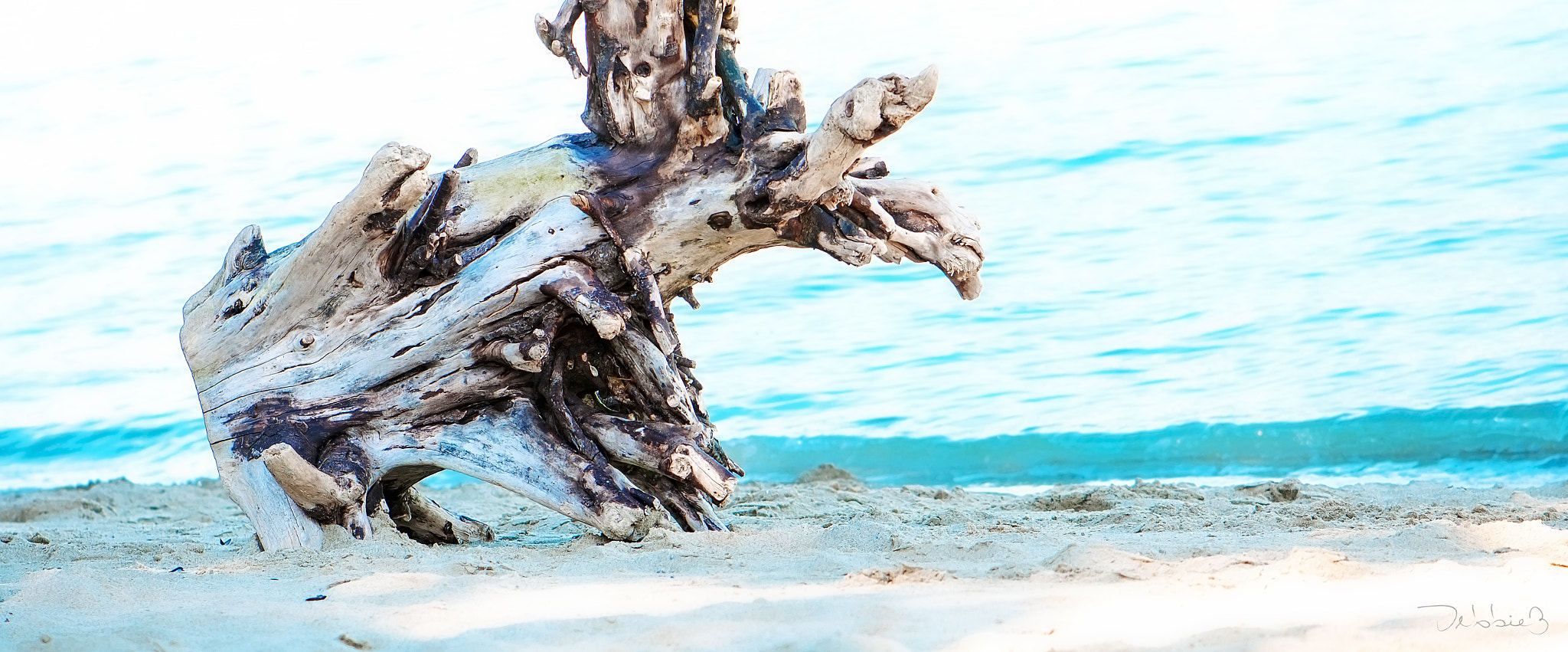 Nikon AF-S DX Micro-Nikkor 85mm F3.5G ED VR sample photo. Nature sculpture photography