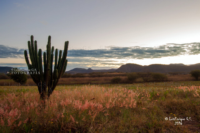 Canon EF-S 10-22mm F3.5-4.5 USM sample photo. Vista del cerro de los judios y cerro "el sombrerito" - chiautla de tapia - puebla - méxico photography