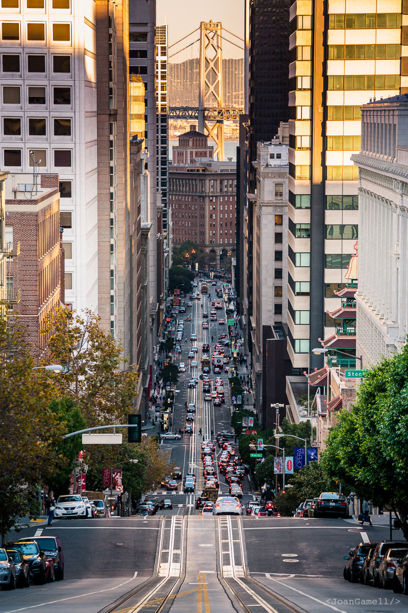 Sony a7R II + Canon EF 70-300mm F4-5.6L IS USM sample photo. View from nob hill photography