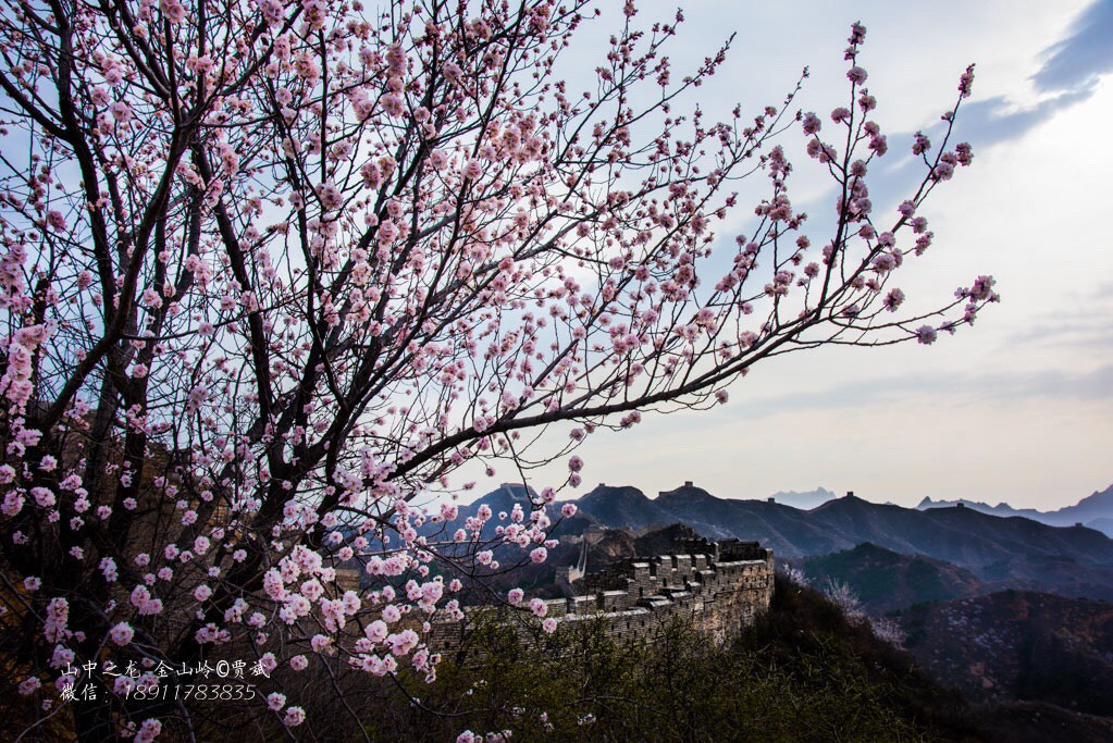by JiaBin PhotoGraph 贾 / 500px  by JiaBin PhotoGraph 贾 / 500px