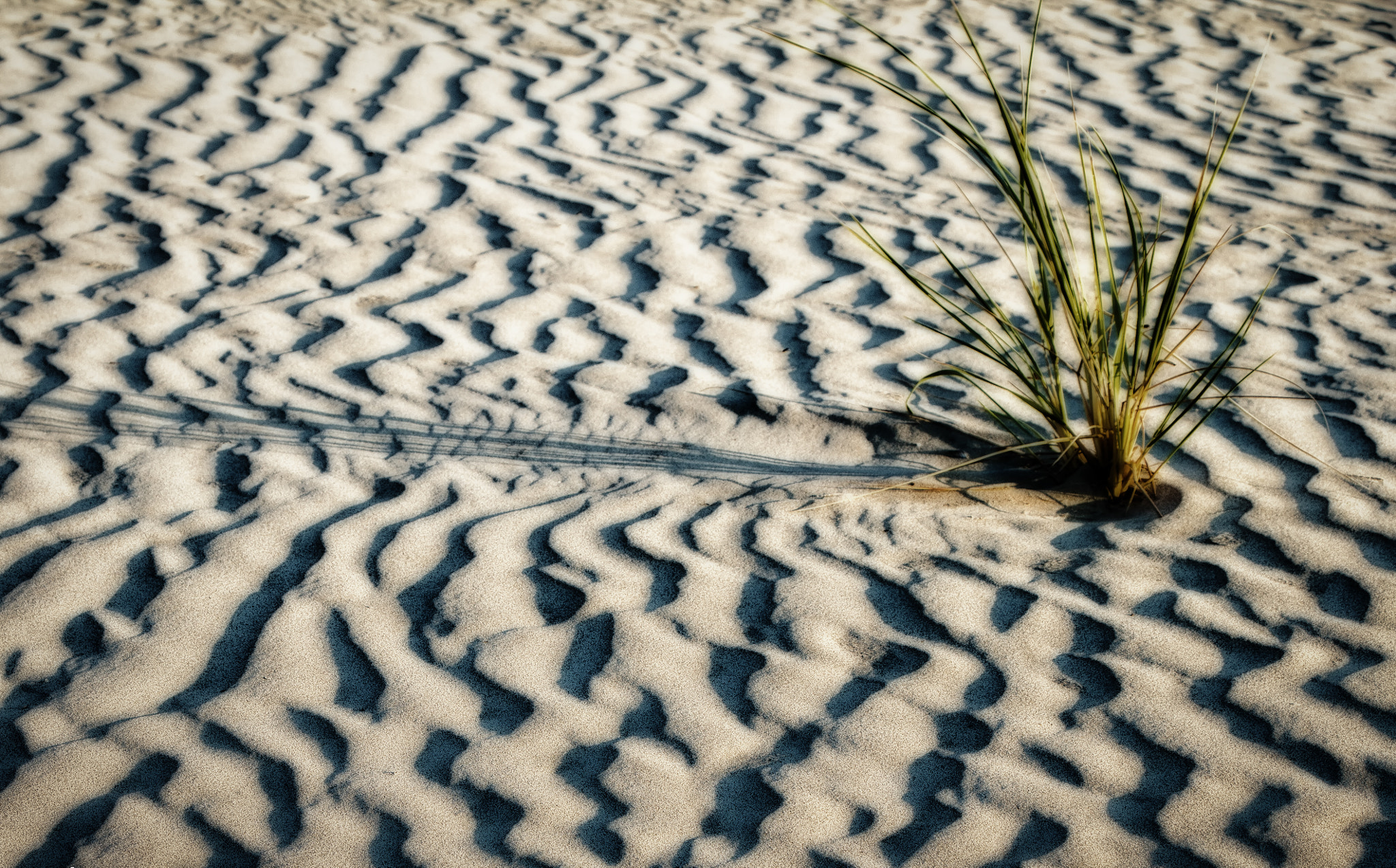 Canon EF-S 18-135mm F3.5-5.6 IS STM sample photo. Curvy beach photography