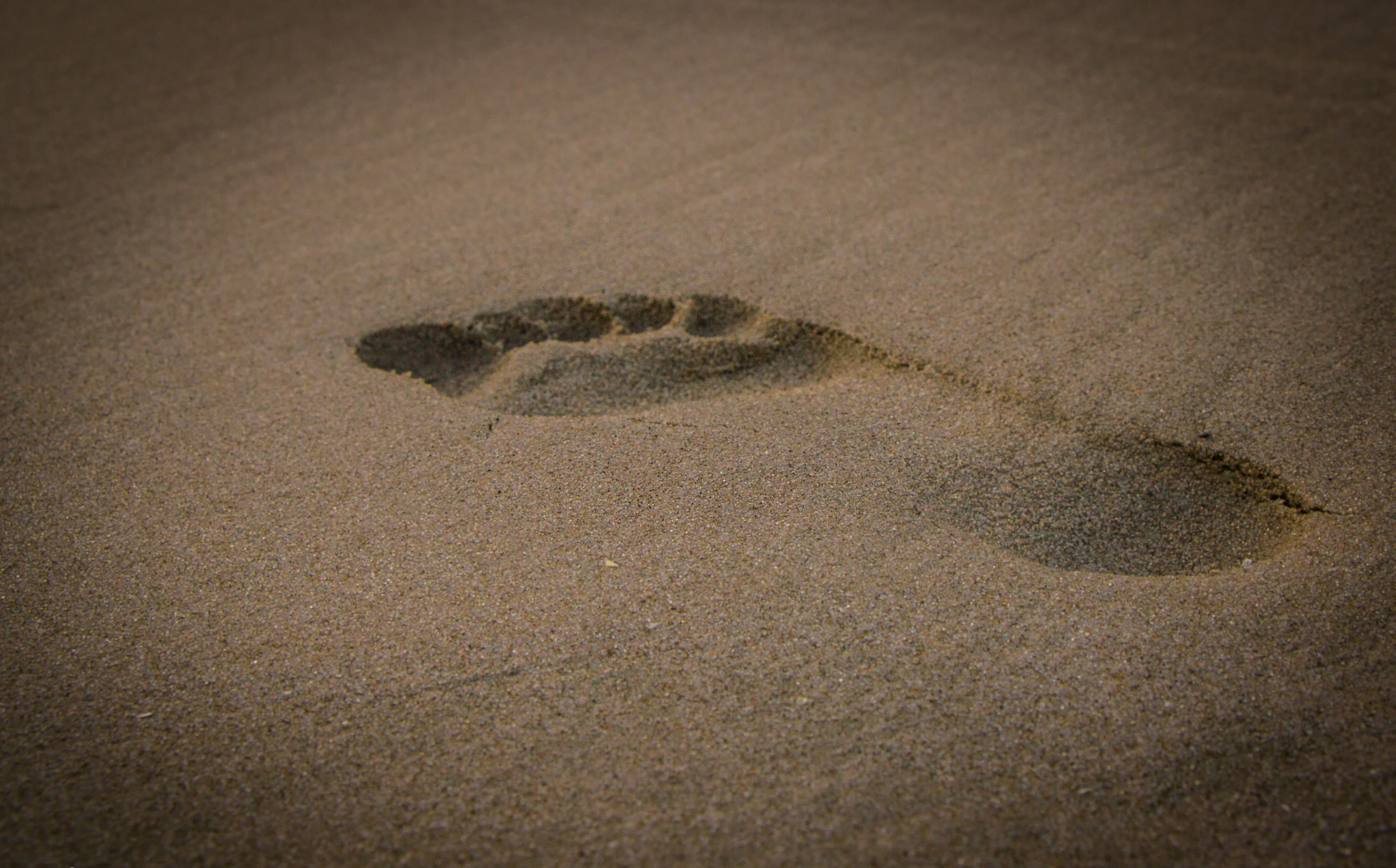 Canon EF-S 18-135mm F3.5-5.6 IS STM sample photo. Alone in the sand photography