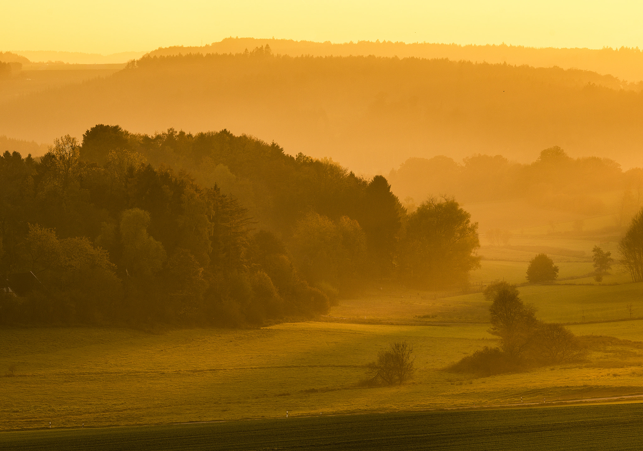 Hasselblad H5D-50c + HC 300 sample photo. Evening light in westphalia photography