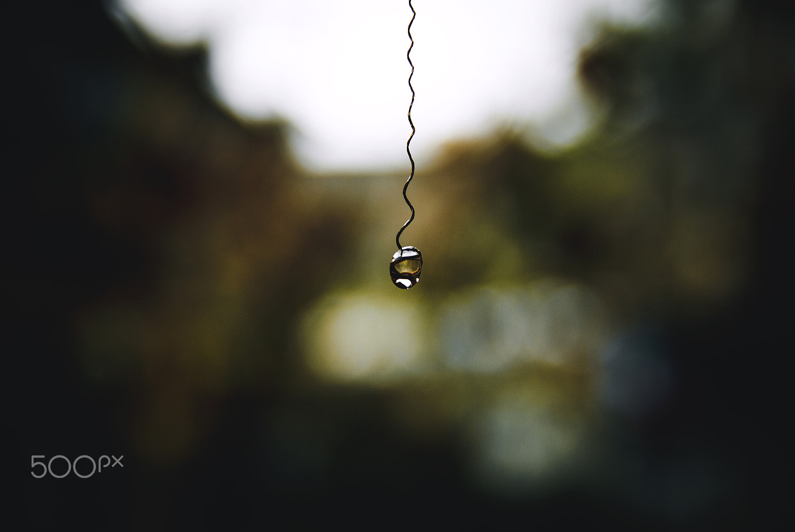 Nikon D60 sample photo. Hanging water photography