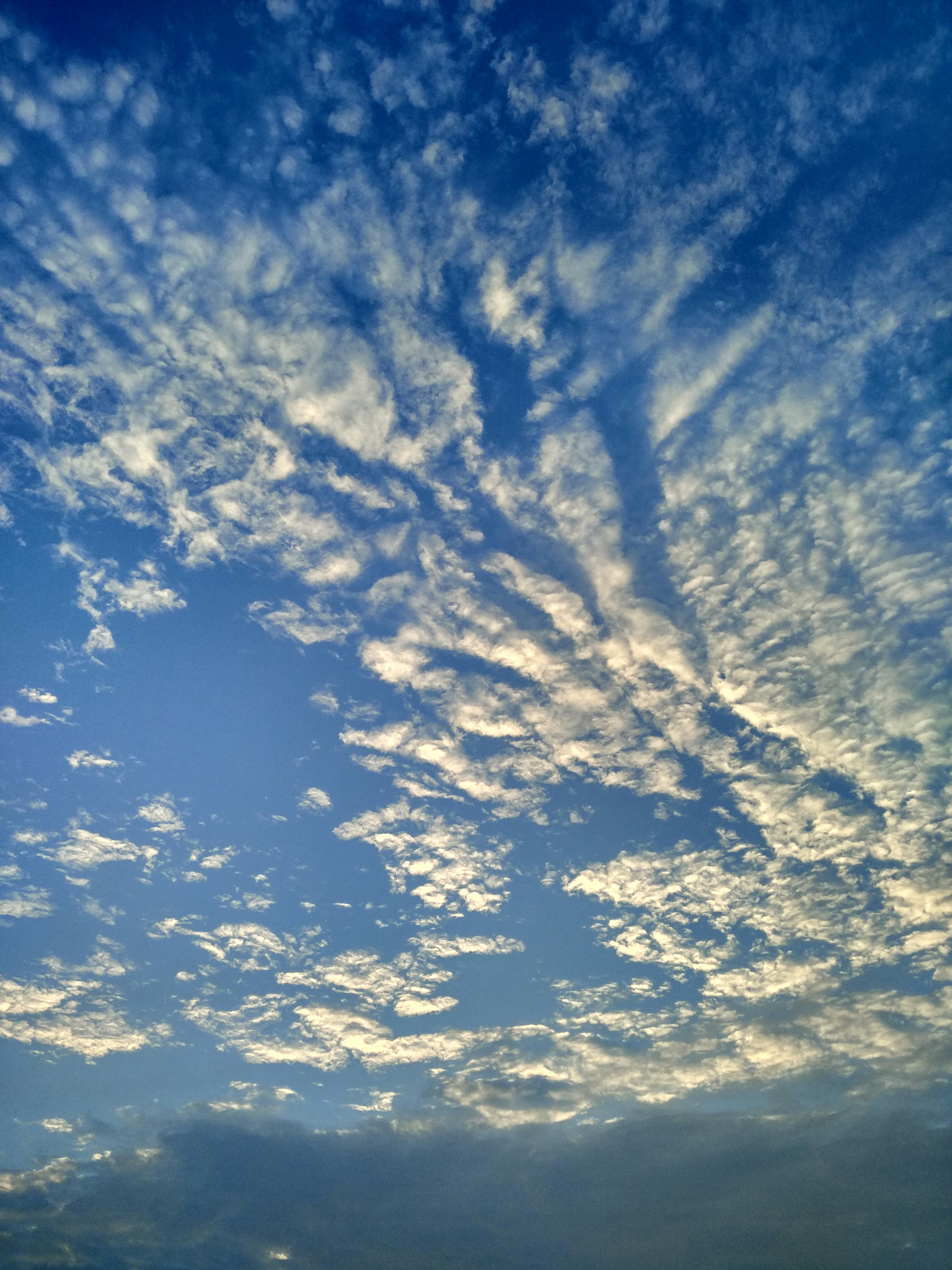 Xiaomi MI NOTE Pro sample photo