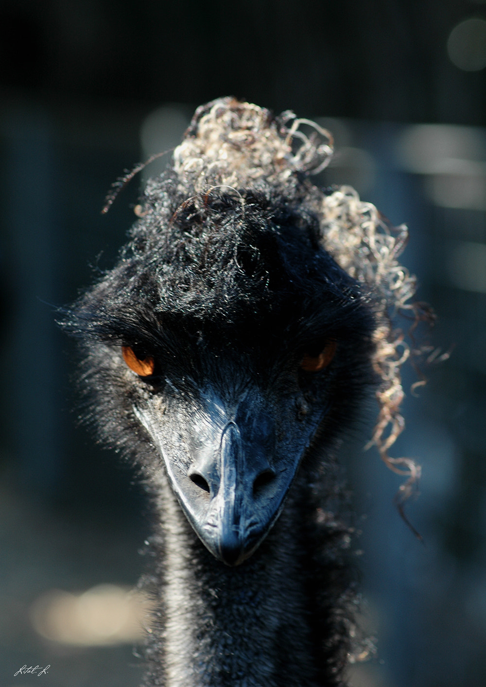 Nikon D70s sample photo. I am watching you photography