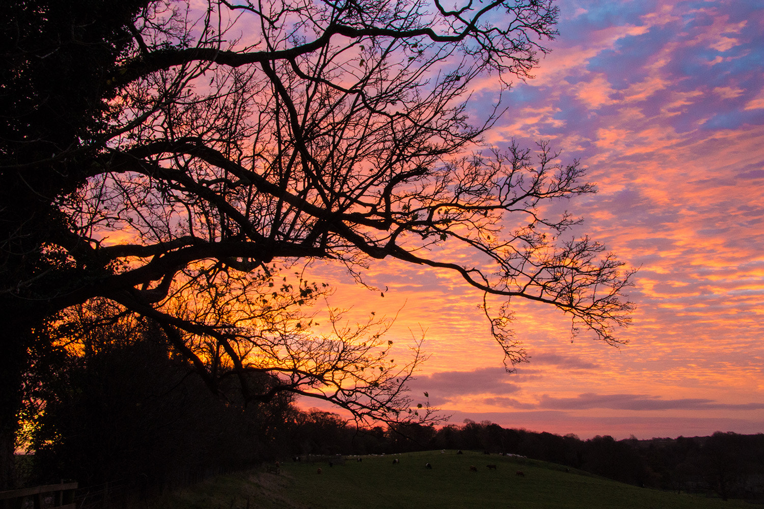 Canon EOS M + Canon EF-S 17-85mm F4-5.6 IS USM sample photo. Sunrise over easby photography