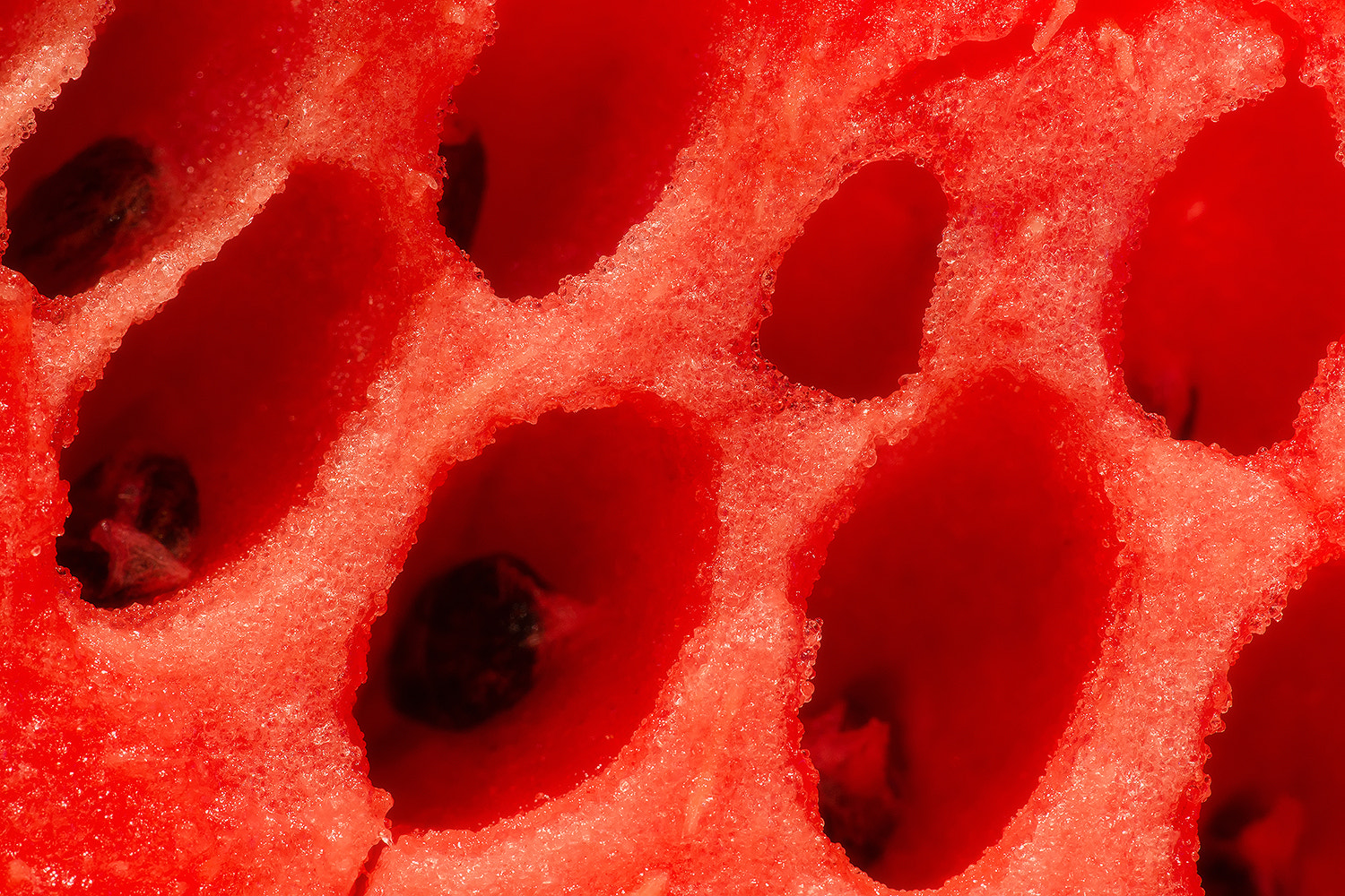 Sony Alpha DSLR-A850 + Minolta AF 100mm F2.8 Macro [New] sample photo. Watermelon. photography
