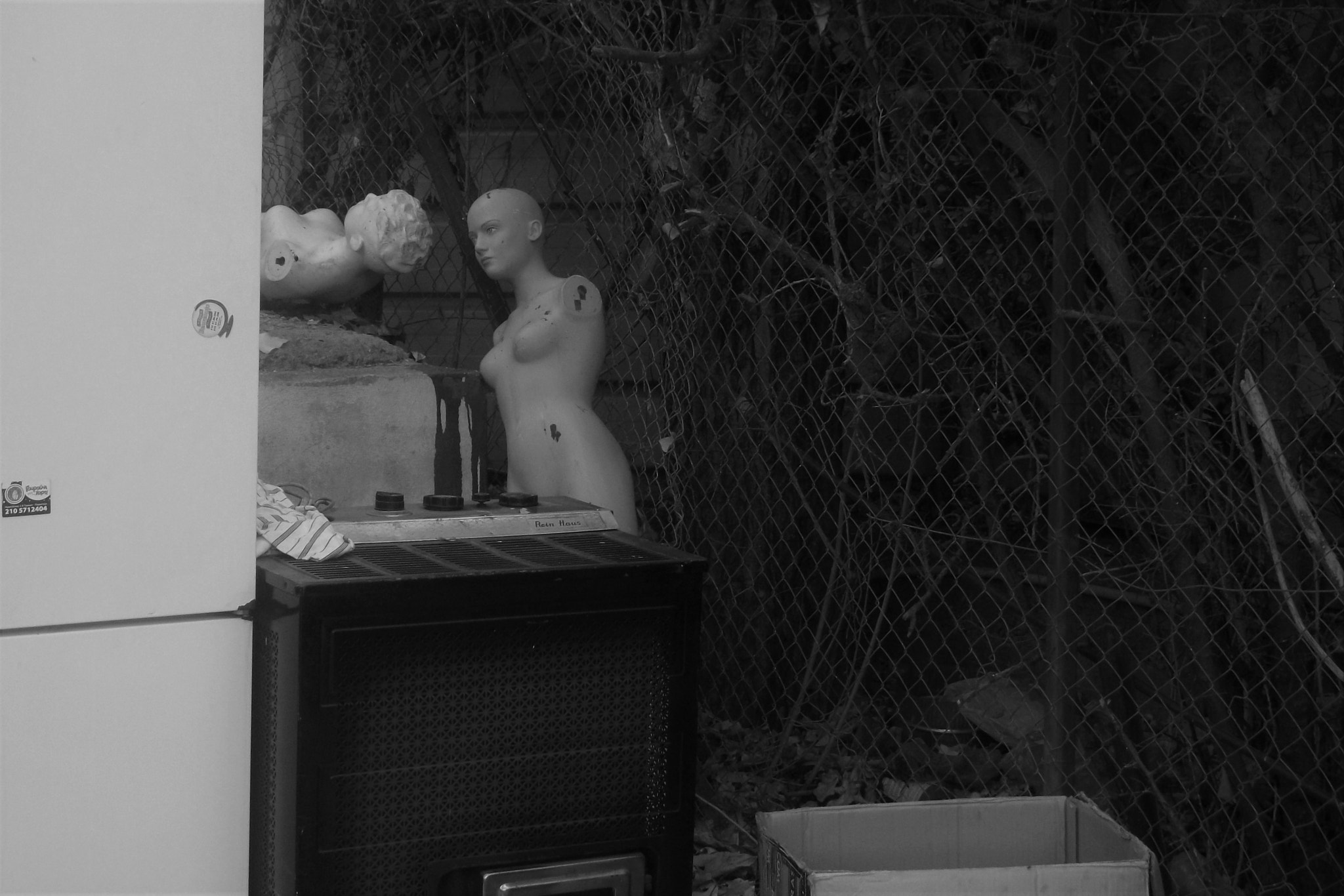 Fujifilm FinePix AV130 sample photo. We used to be pretty photography
