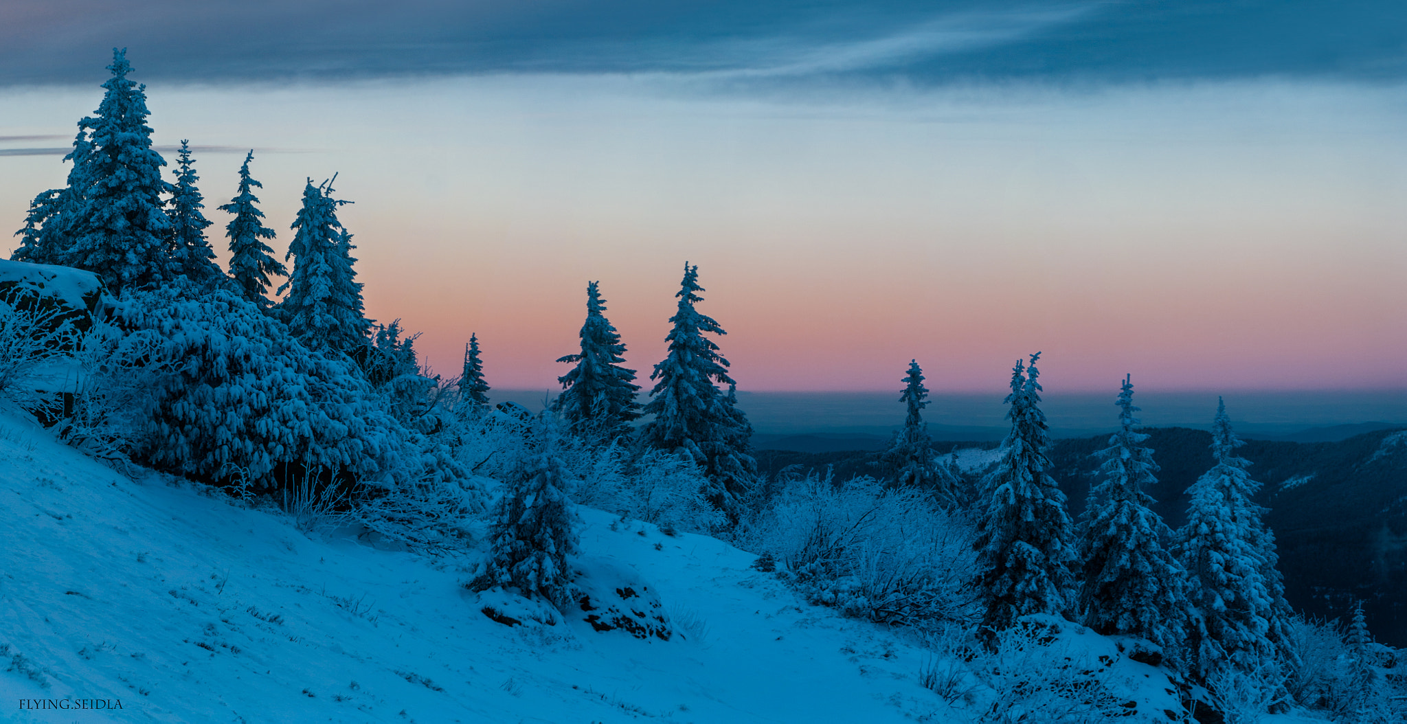 Sigma 18-250mm F3.5-6.3 DC Macro OS HSM sample photo. ... winter colours ... photography